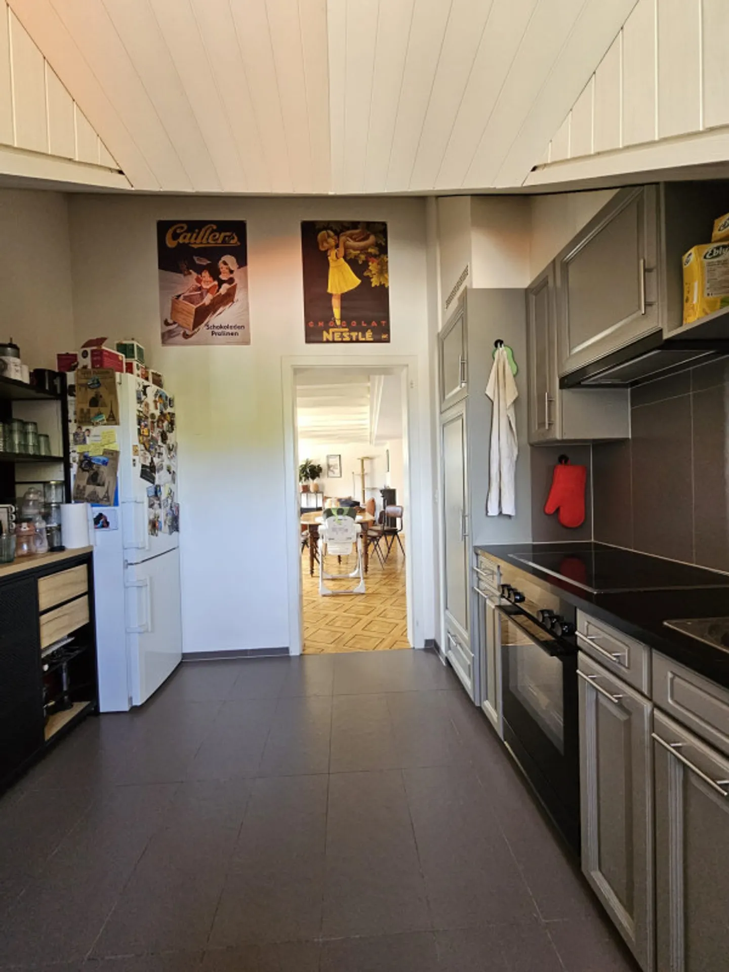 Magnificent duplex in the attic with fireplace - Chêne-Bourg - Photo 3 of 8