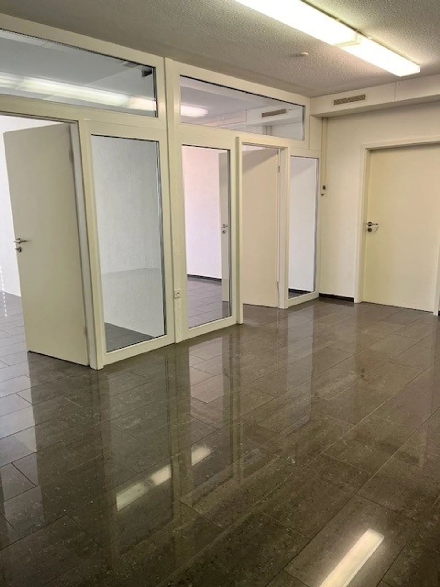 Wheelchair Accessible Commercial Space in the Center of Frutigen - Photo 1 of 8