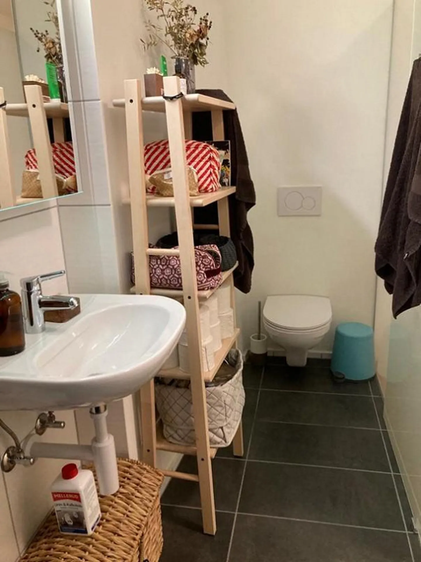 2.5 Room Apartment in Schaffhausen - Photo 4 of 8