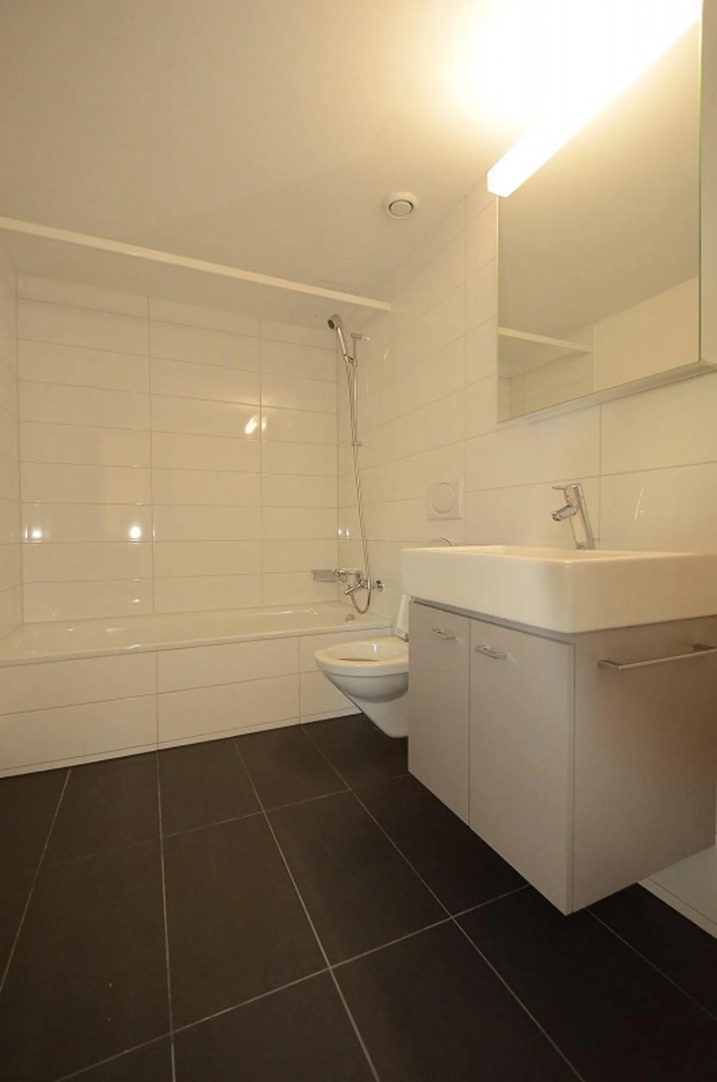 Open Living Space in Liebefeld - Photo 5 of 7