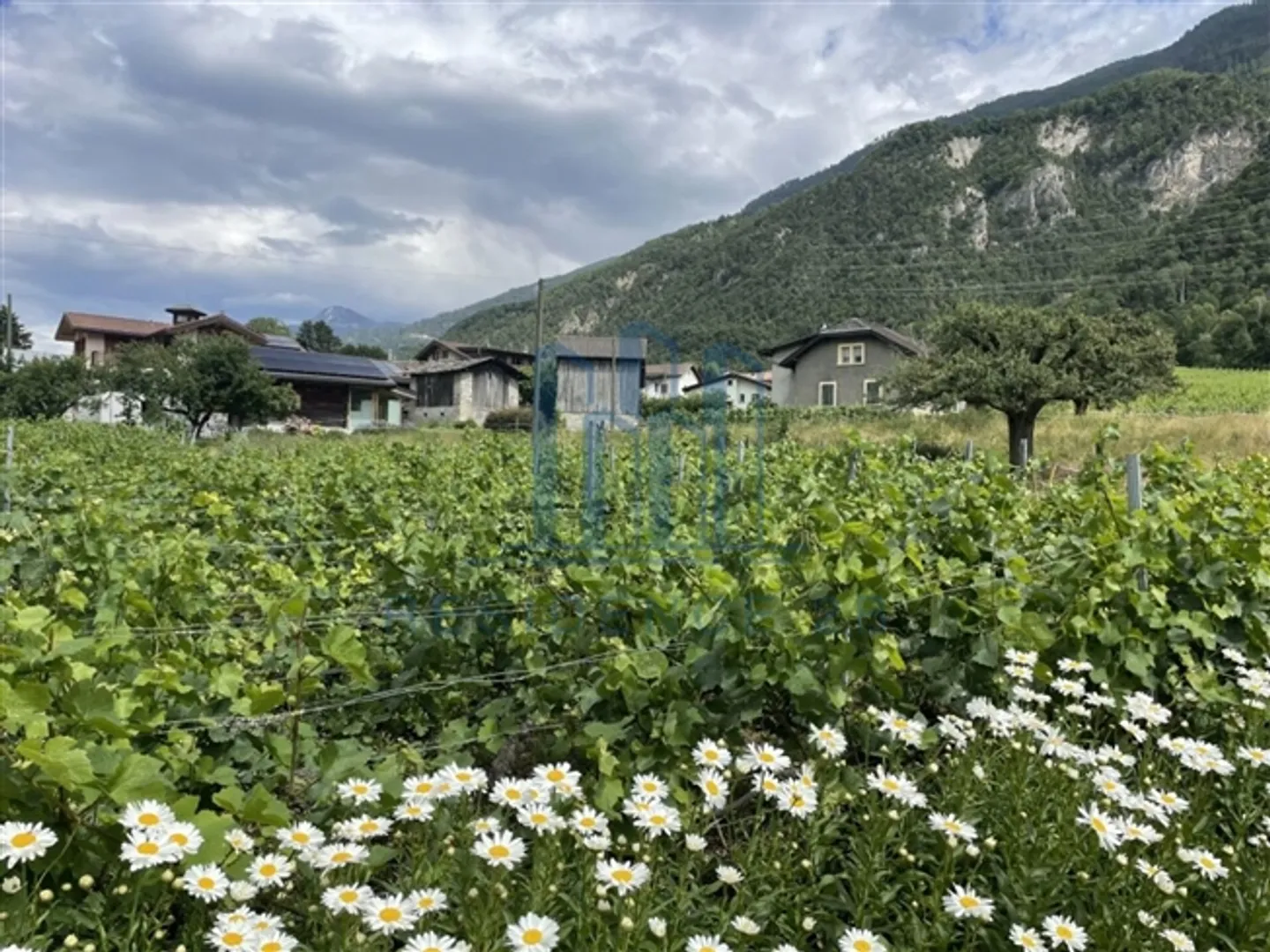 Villa moderna a Grône copia - Foto 2 di 11