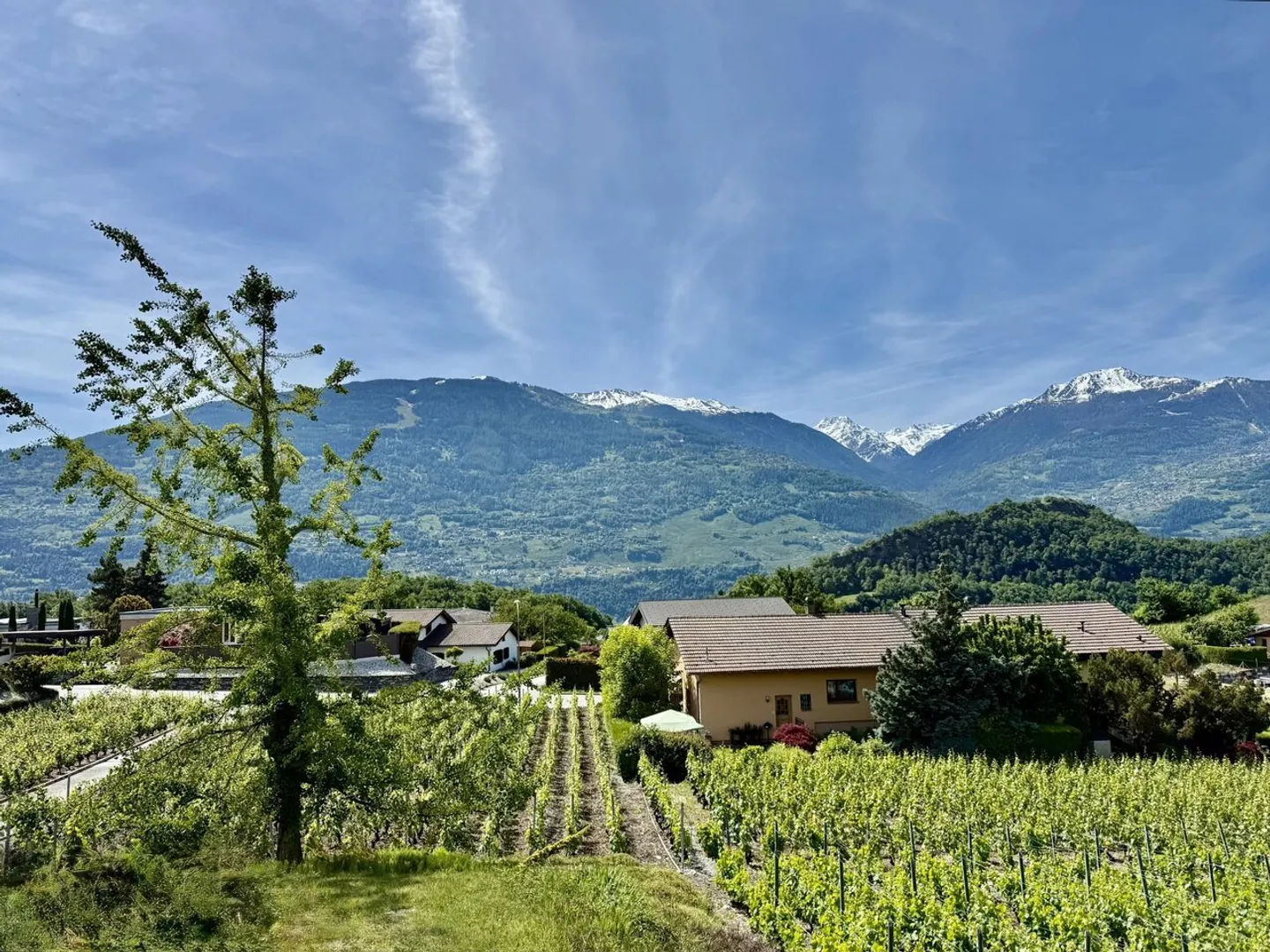 Vendita - Villa Ormône - Foto 2 di 13