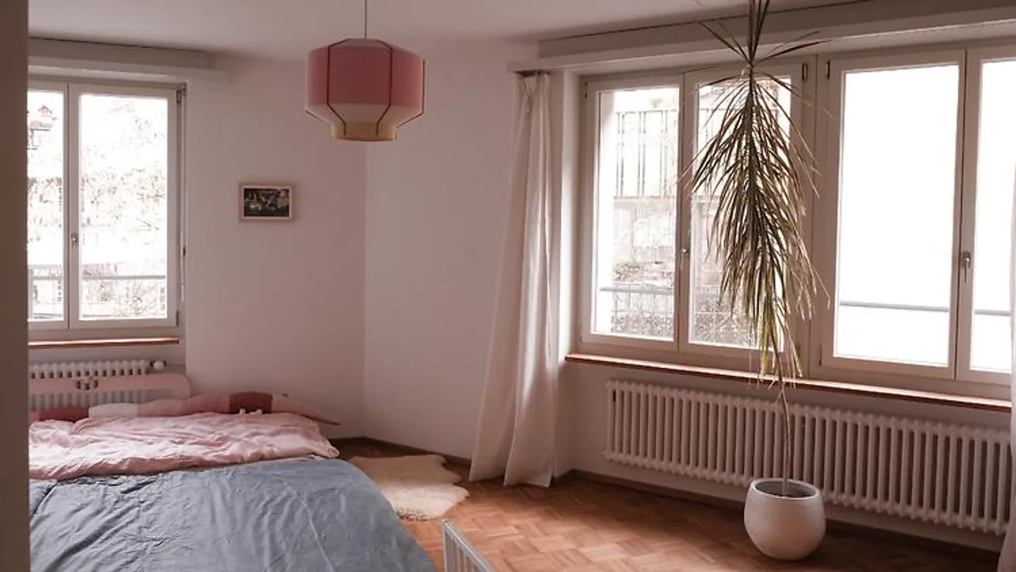 3½ ROOM APARTMENT IN BERN - MATTE, FURNISHED, TEMPORARY - Photo 5 of 10