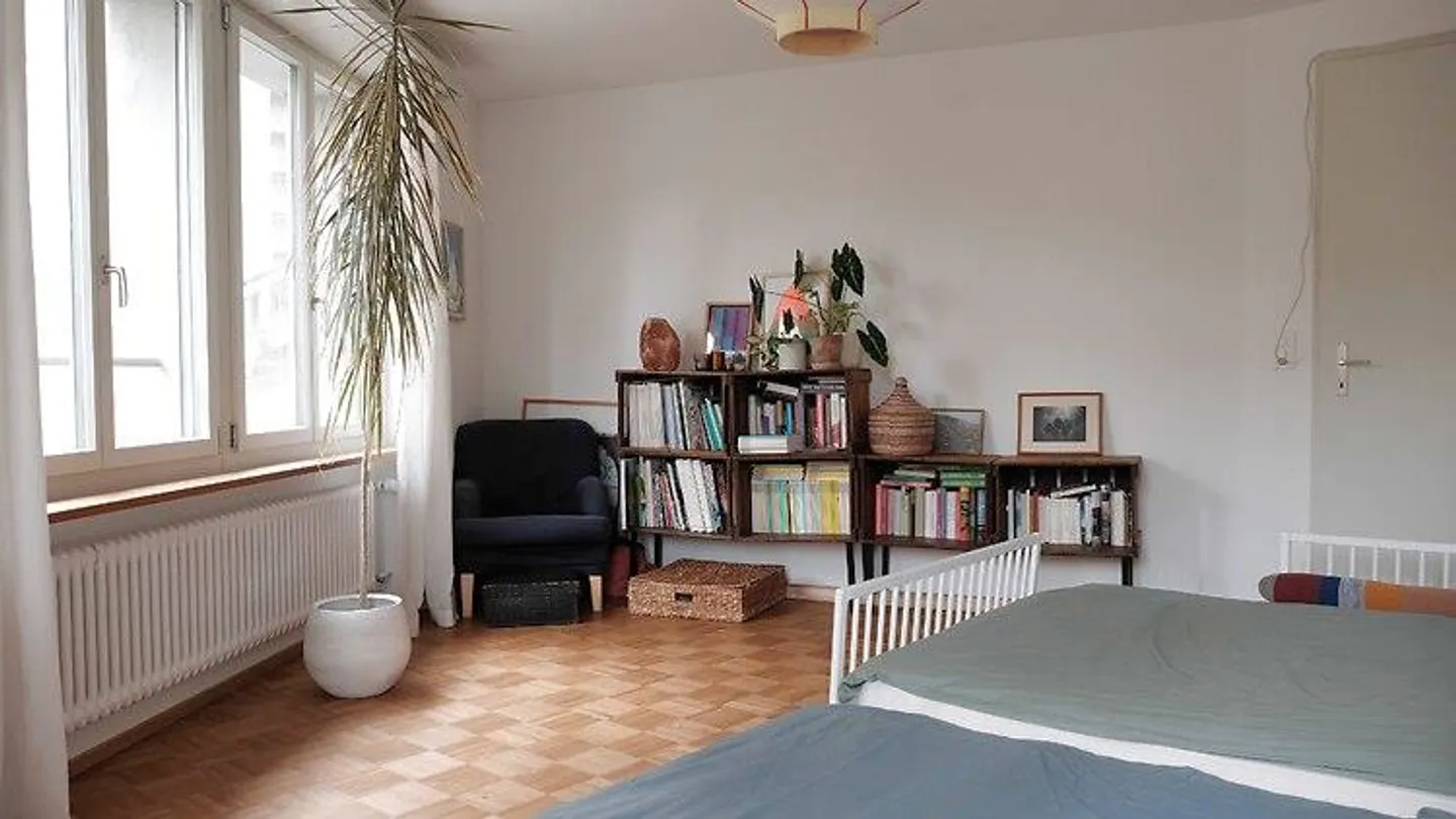 3½ ROOM APARTMENT IN BERN - MATTE, FURNISHED, TEMPORARY - Photo 6 of 10
