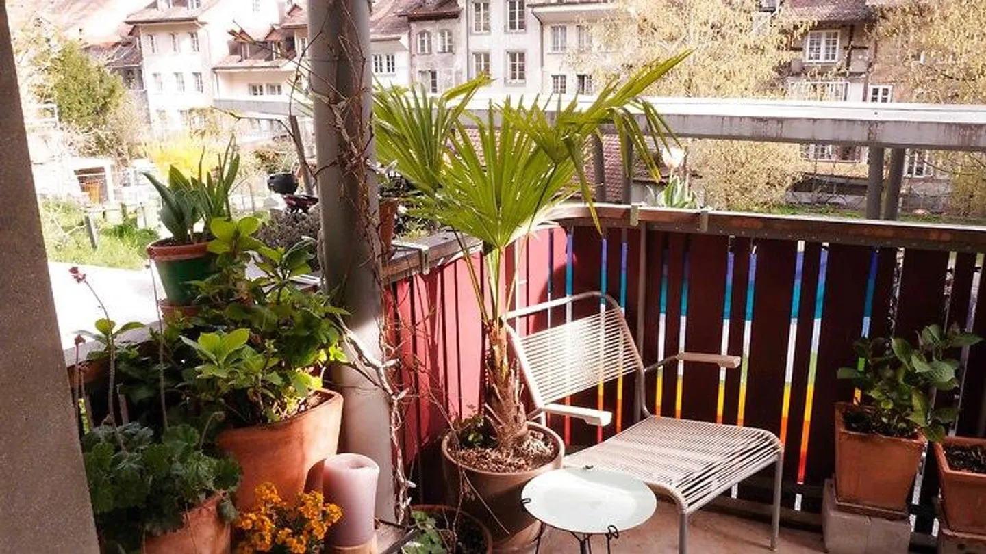 3½ ROOM APARTMENT IN BERN - MATTE, FURNISHED, TEMPORARY - Photo 9 of 10