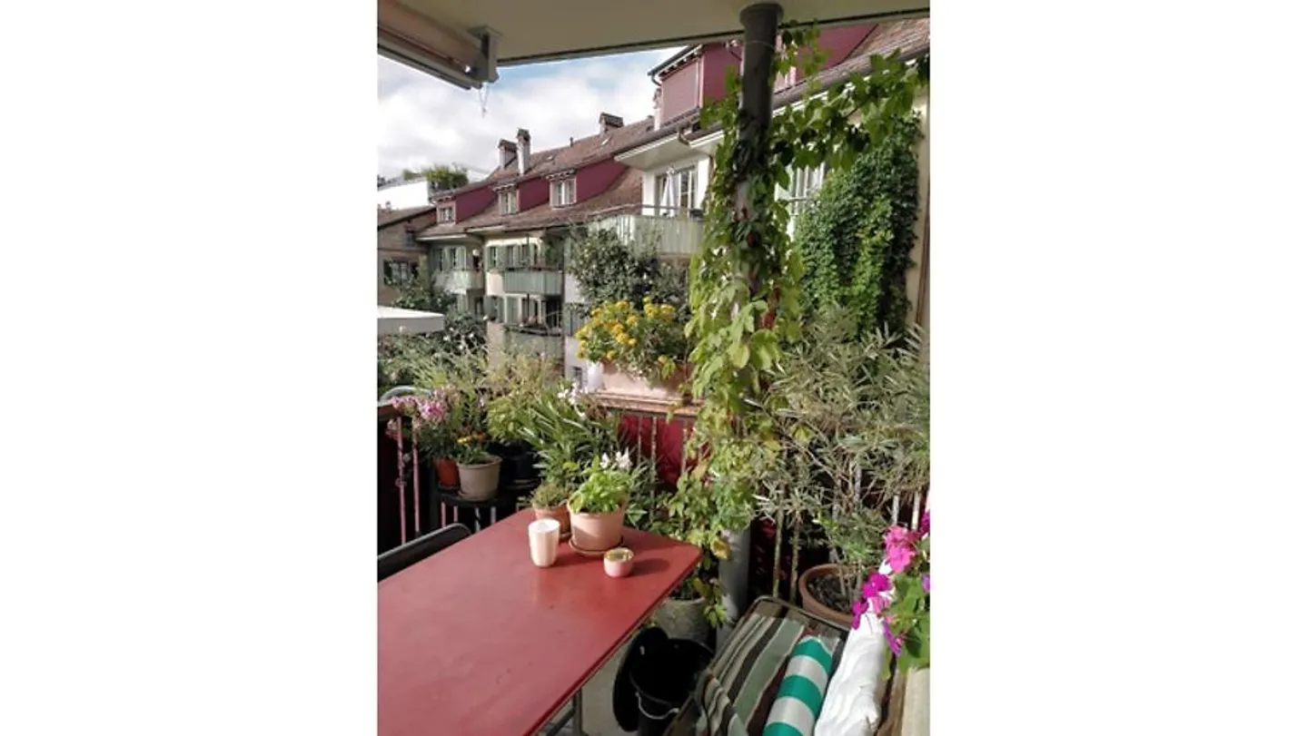 3½ ROOM APARTMENT IN BERN - MATTE, FURNISHED, TEMPORARY - Photo 10 of 10