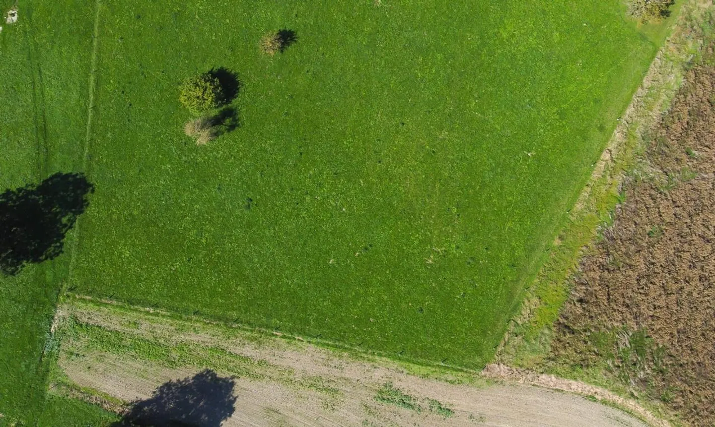 Terreno edificabile in vendita - Foto 4 di 11