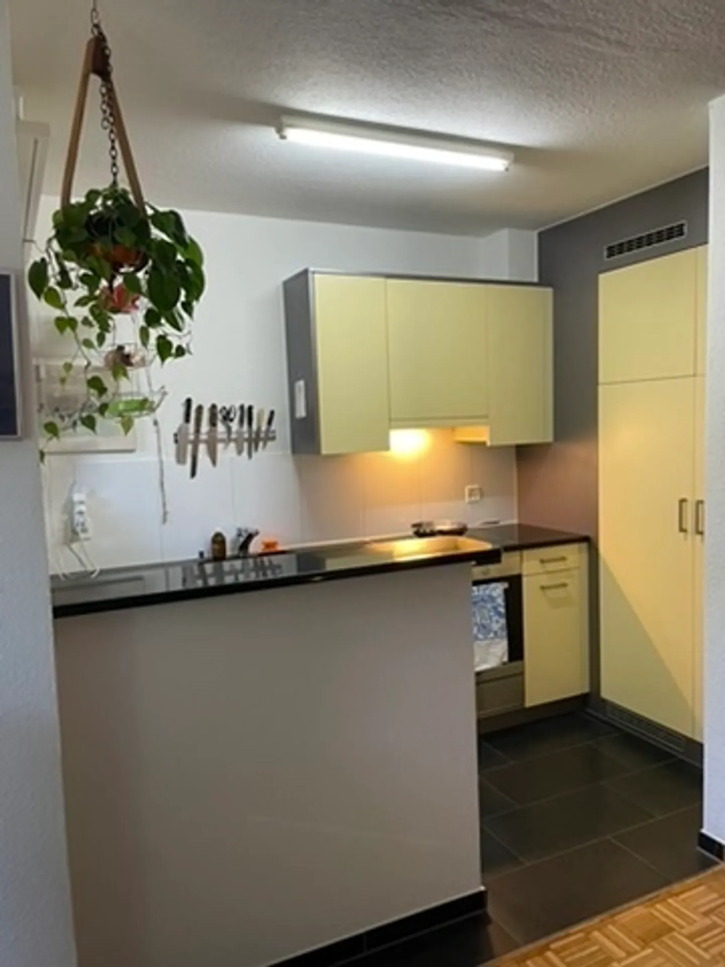 Charmantes Studio in Zürich - Foto 5 von 10
