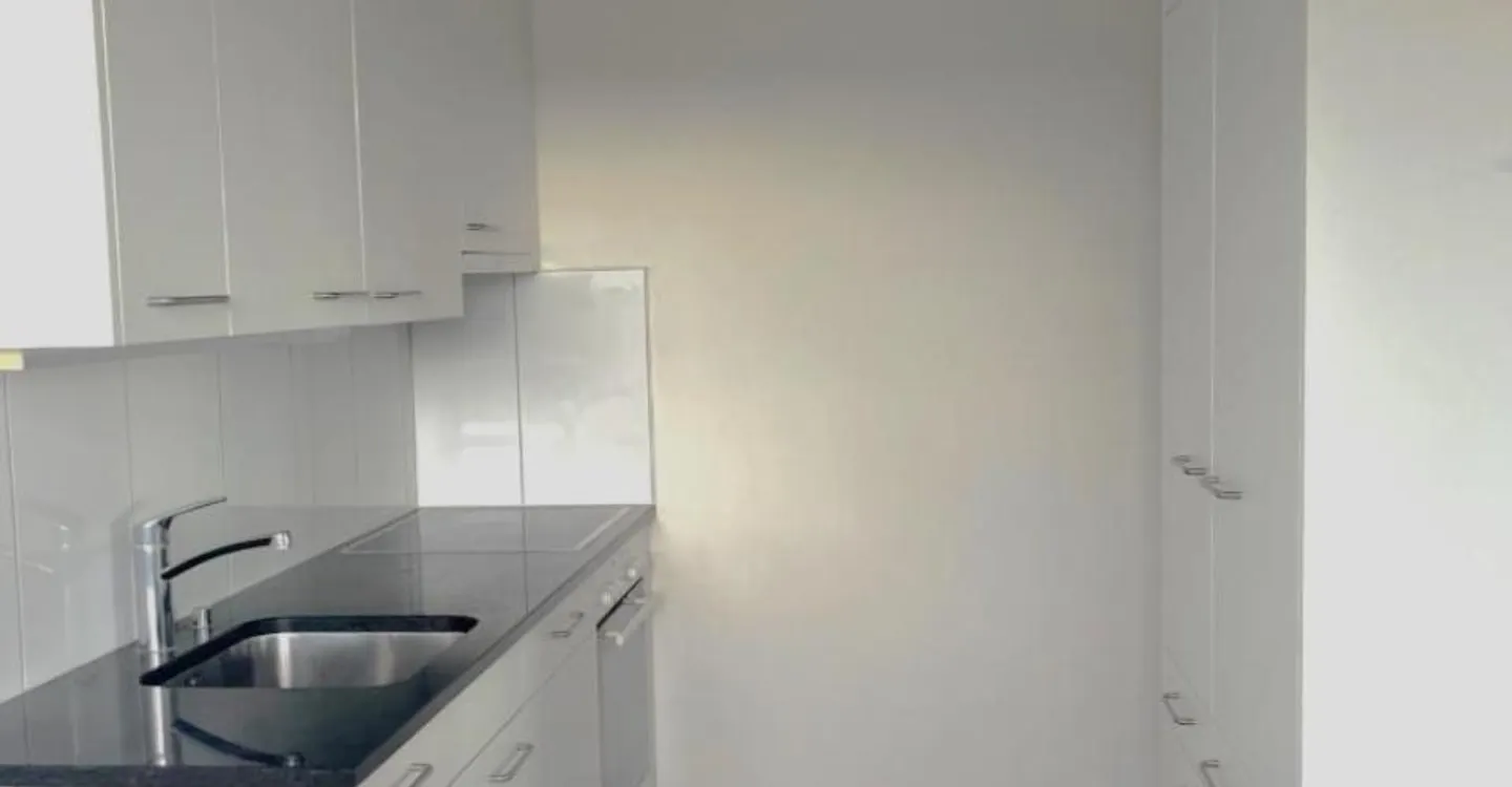 Zentrales Apartment in Pratteln - Foto 3 von 8