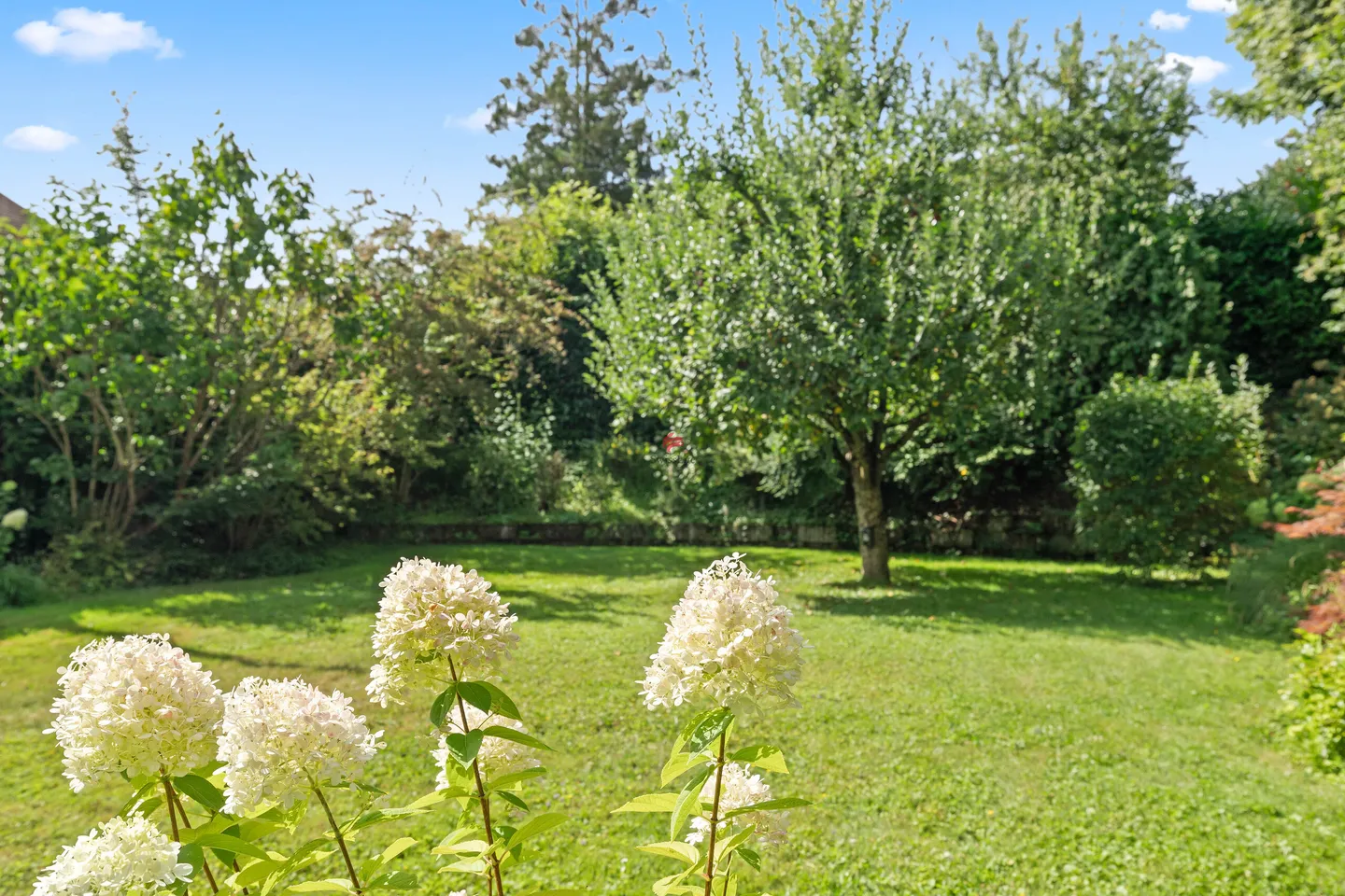Appartamento al piano terra con giardino privato - Foto 20 di 29