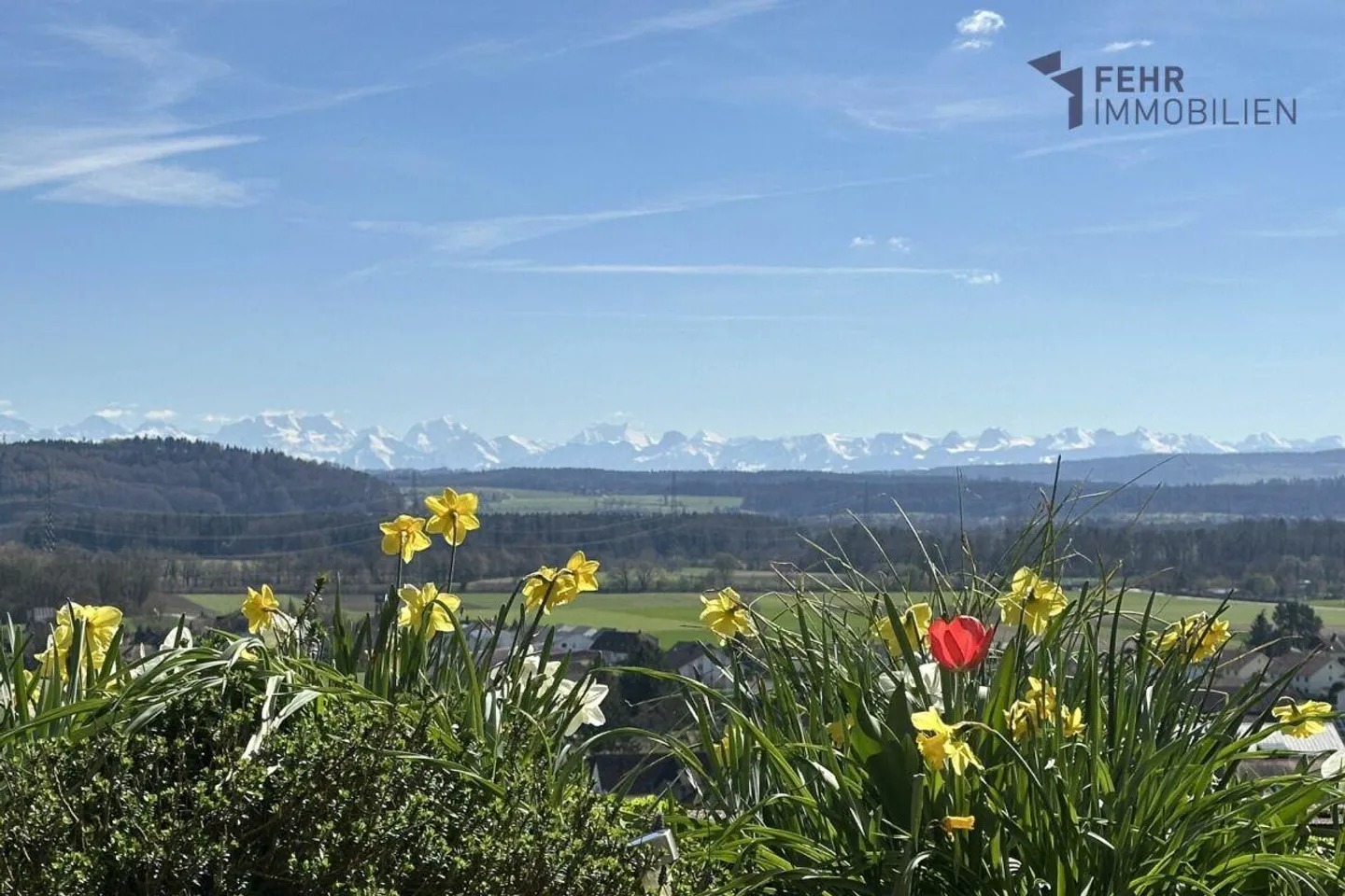 Terrassenappartement mit Alpenblick - Foto 2 von 13