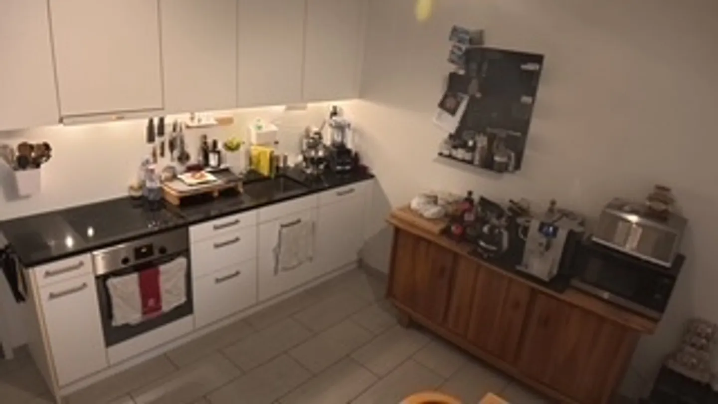 3½ ROOM APARTMENT IN ZURICH - DISTRICT 11 AFFOLTERN, FURNISHED, TEMPORARY - Photo 3 of 10