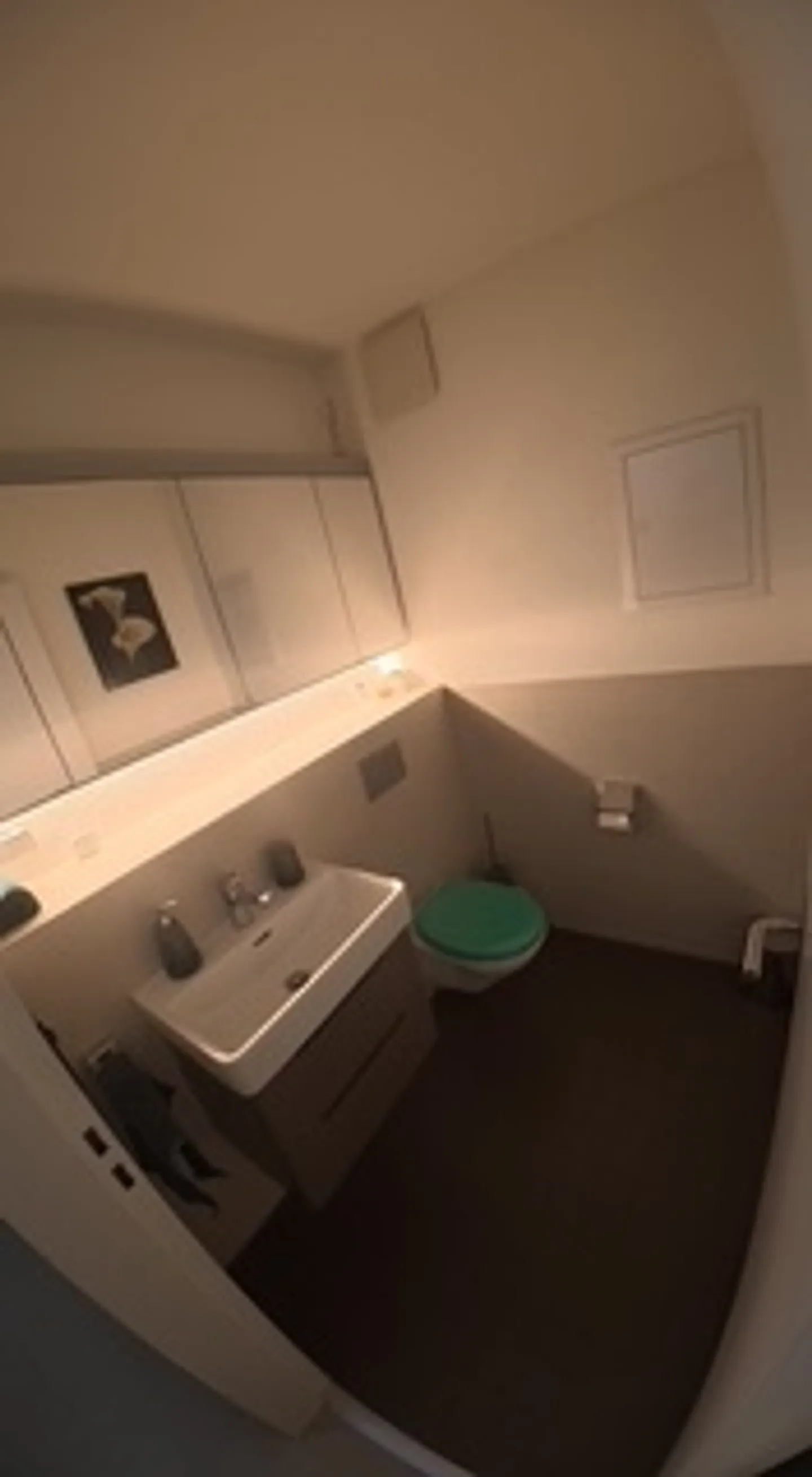 3½ ROOM APARTMENT IN ZURICH - DISTRICT 11 AFFOLTERN, FURNISHED, TEMPORARY - Photo 7 of 10