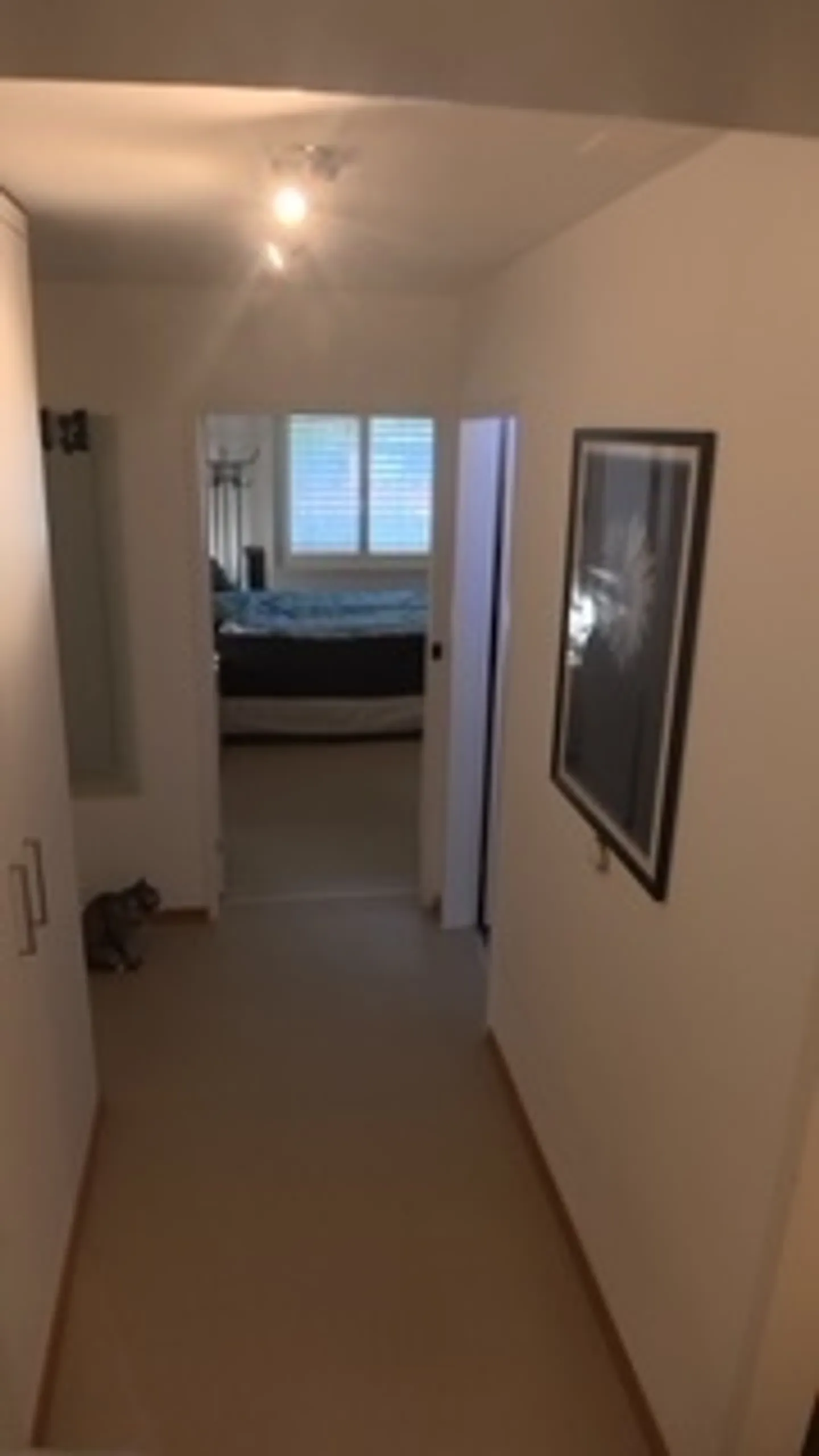 3½ ROOM APARTMENT IN ZURICH - DISTRICT 11 AFFOLTERN, FURNISHED, TEMPORARY - Photo 9 of 10