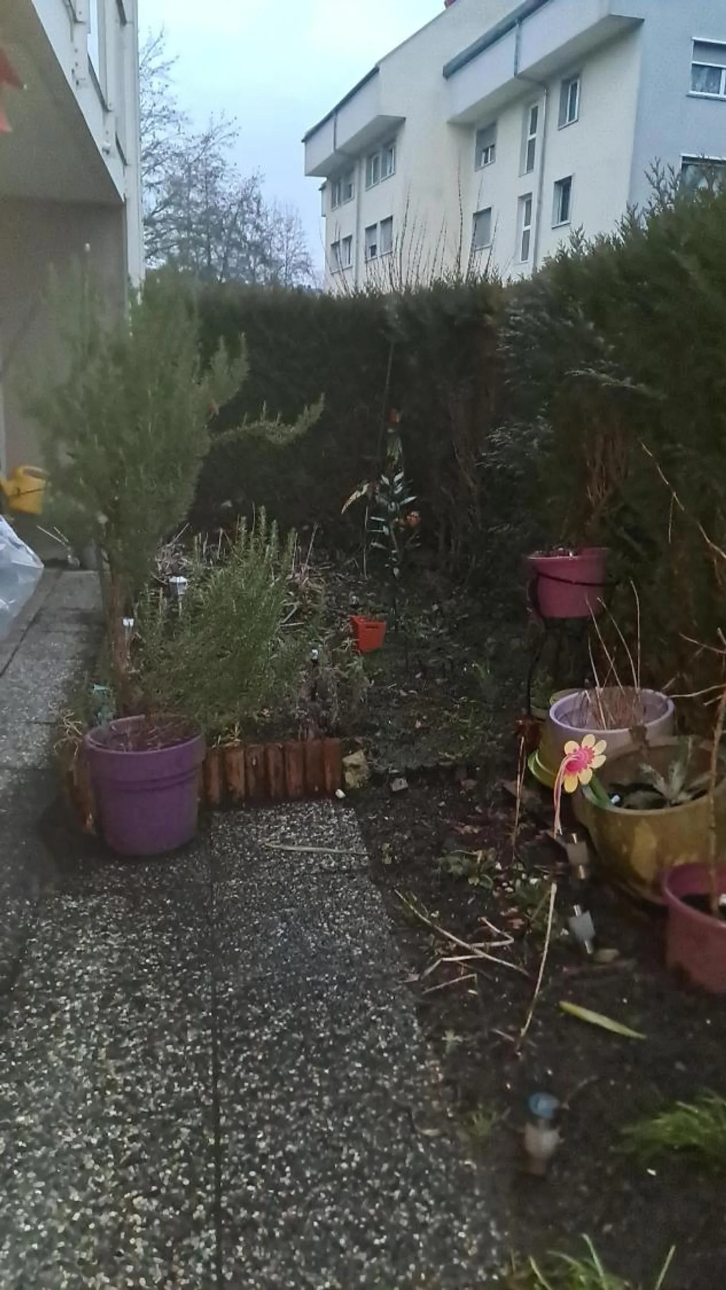 Appartamento 3.5 stanze - Foto 2 di 2