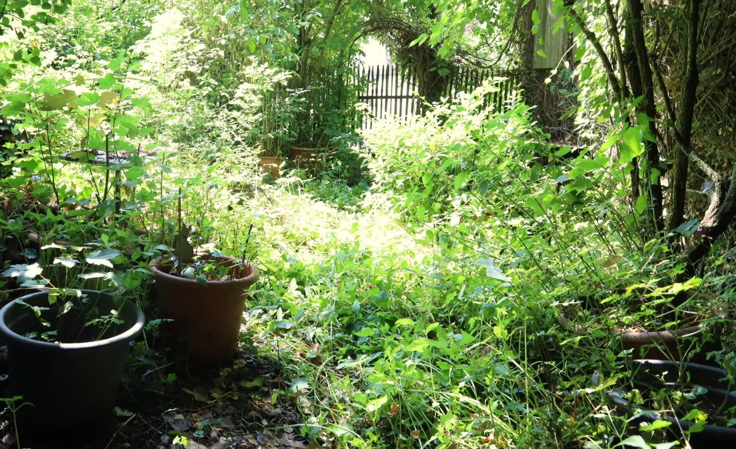 Fattoria con edificio annesso - Foto 7 di 24