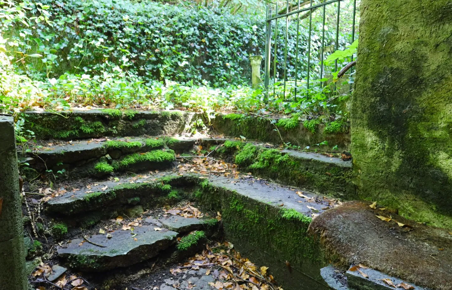Fattoria con edificio annesso - Foto 8 di 24
