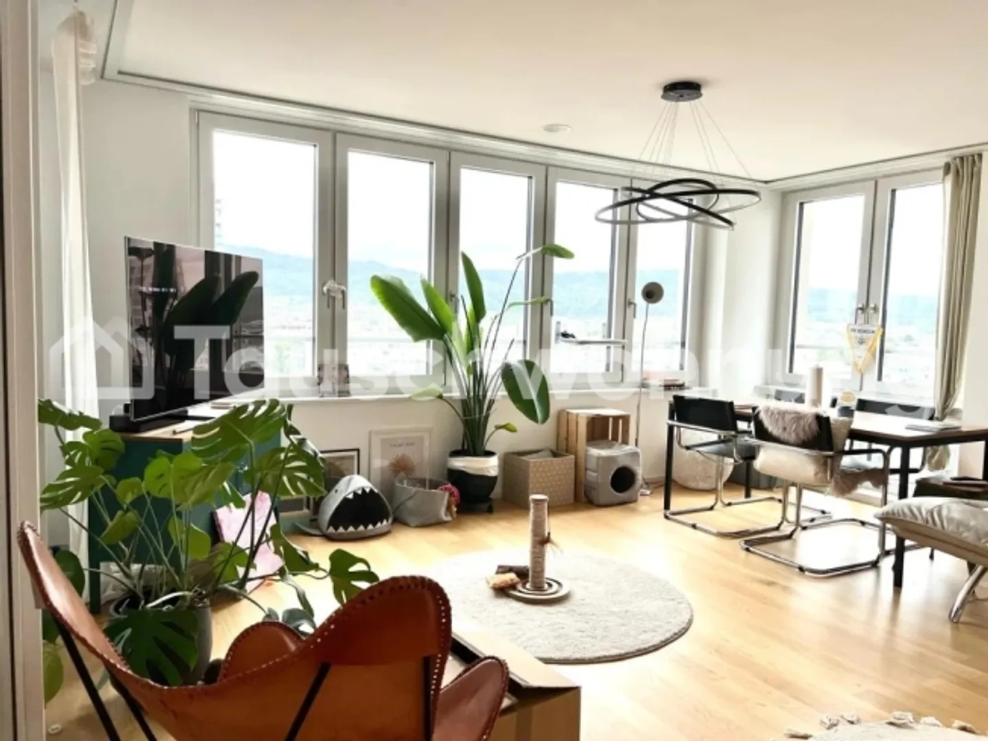 Helle 3.5-Zimmer-Wohnung in Zürich - Foto 1 von 1