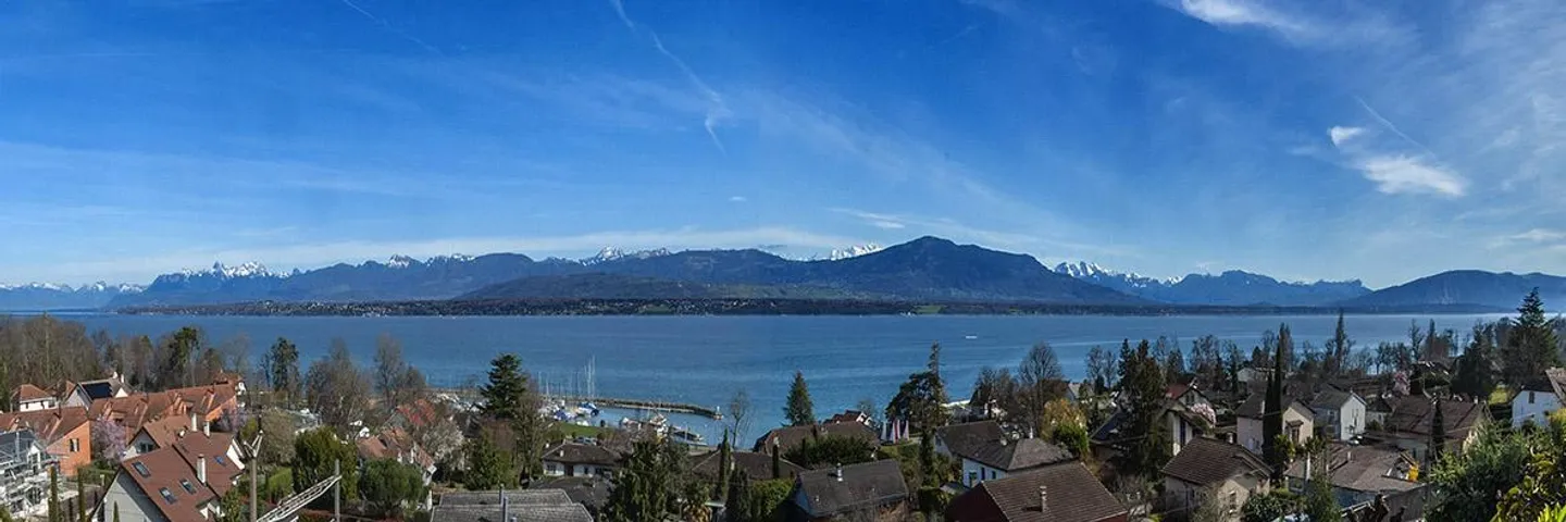 Property with magnificent view of the lake, the Alps and Mont-Blanc - Photo 2 of 12