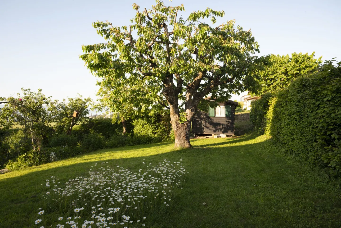 Casa indipendente di 6,5 stanze - Foto 4 di 13