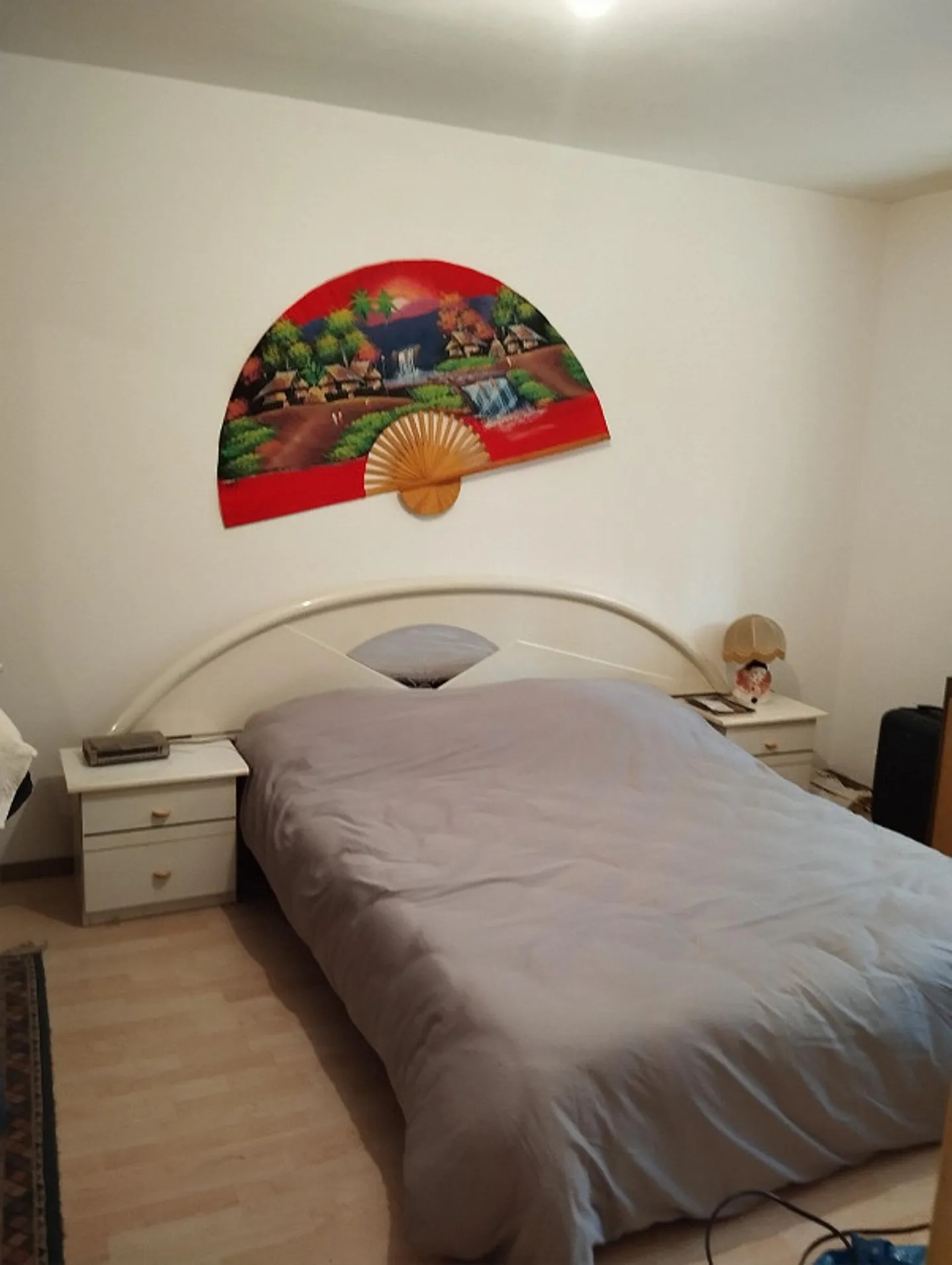 LOCARNO-A vendre appartement 2.5 avec résidence secondaire - Photo 3 sur 4