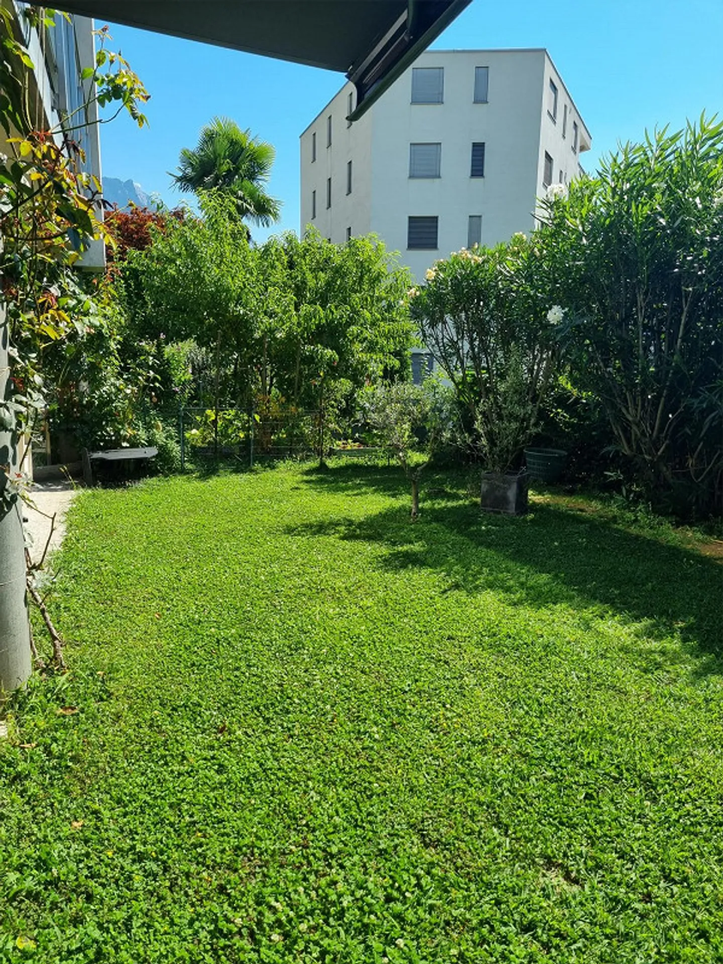 Bright apartment - Photo 2 of 7