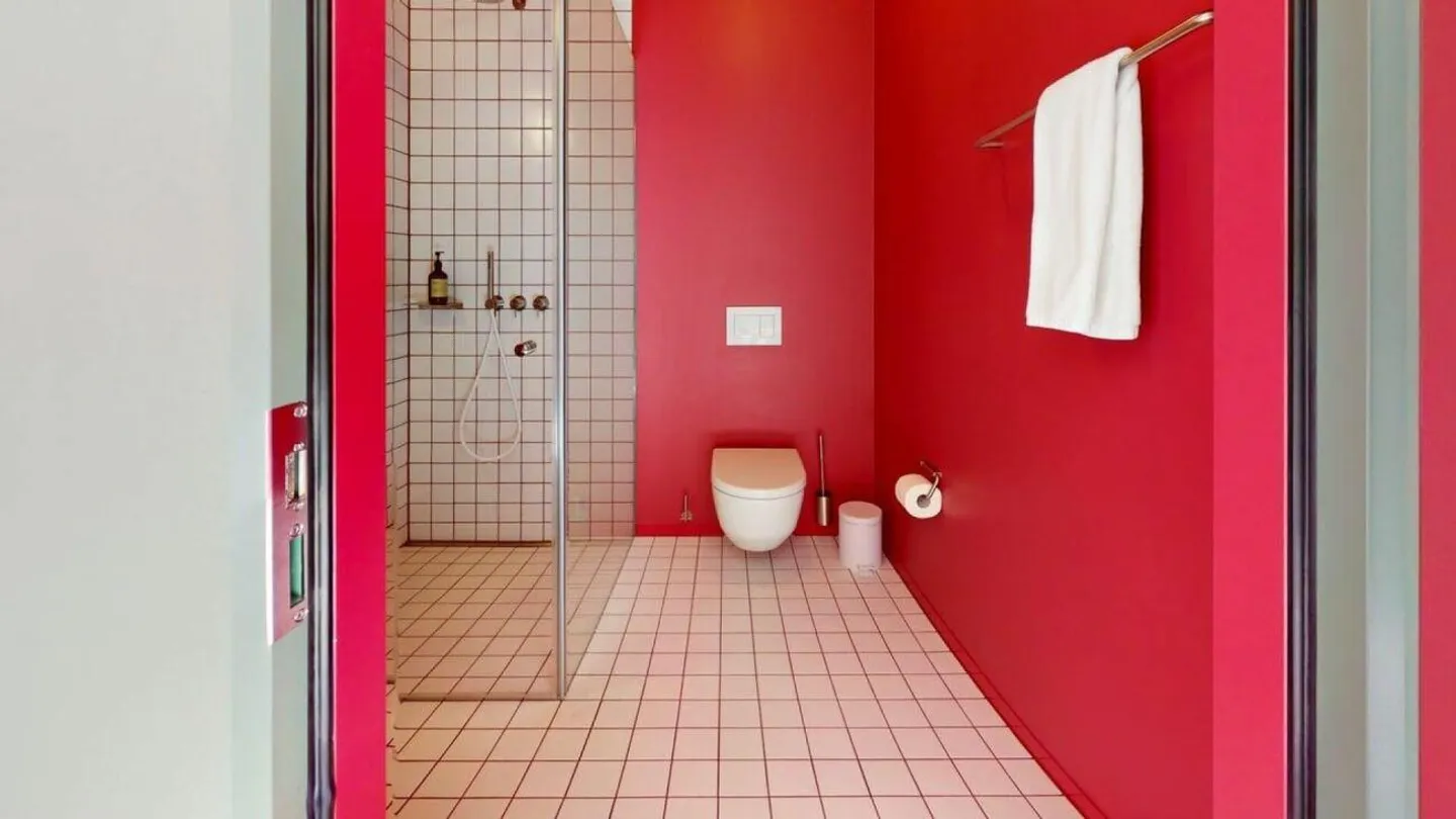 Vivere direttamente sul Reno (Valle di St. Alban) - Foto 8 di 13