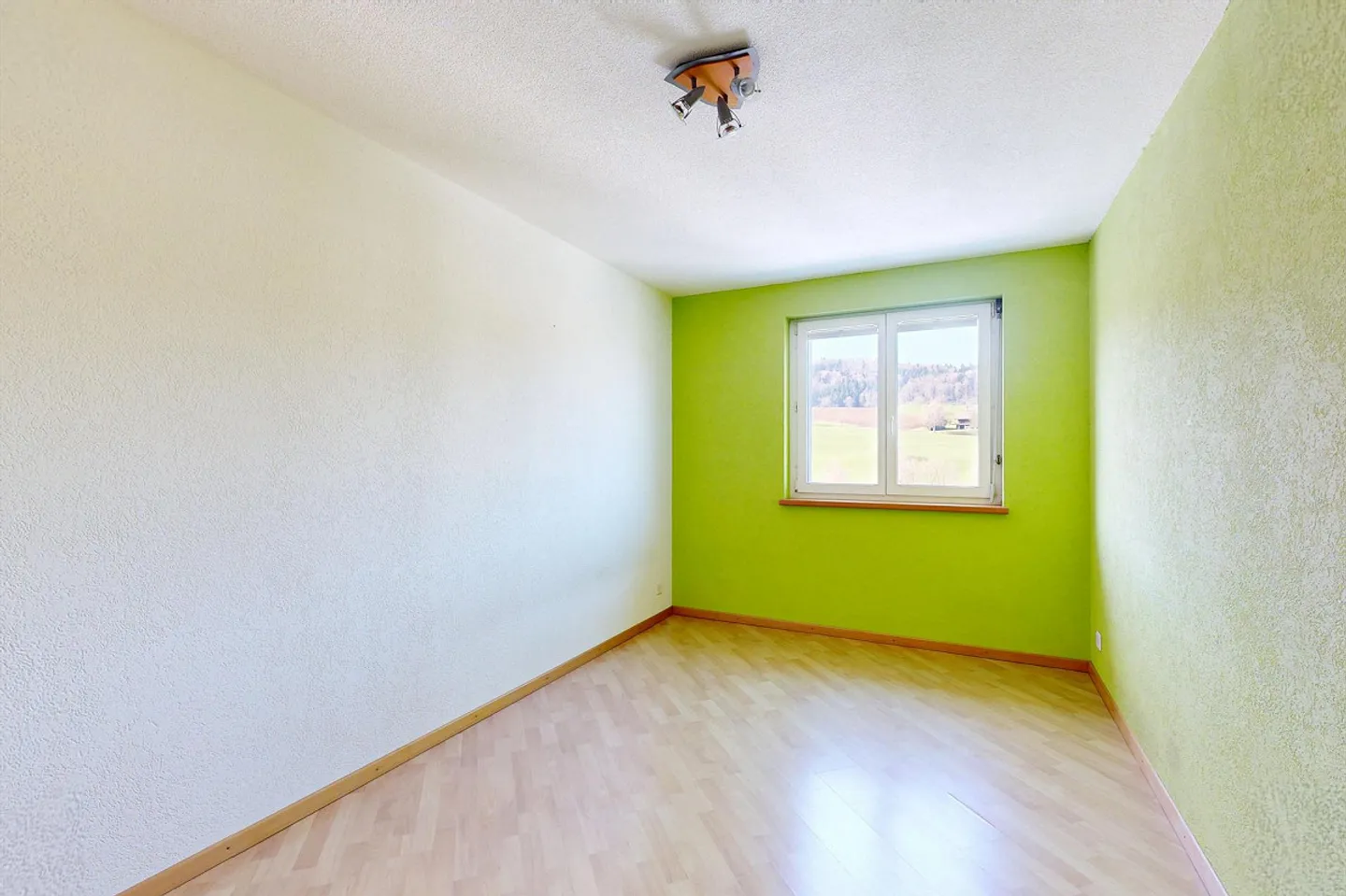 5.5-Room Double Family House with Beautiful View - Photo 7 of 16