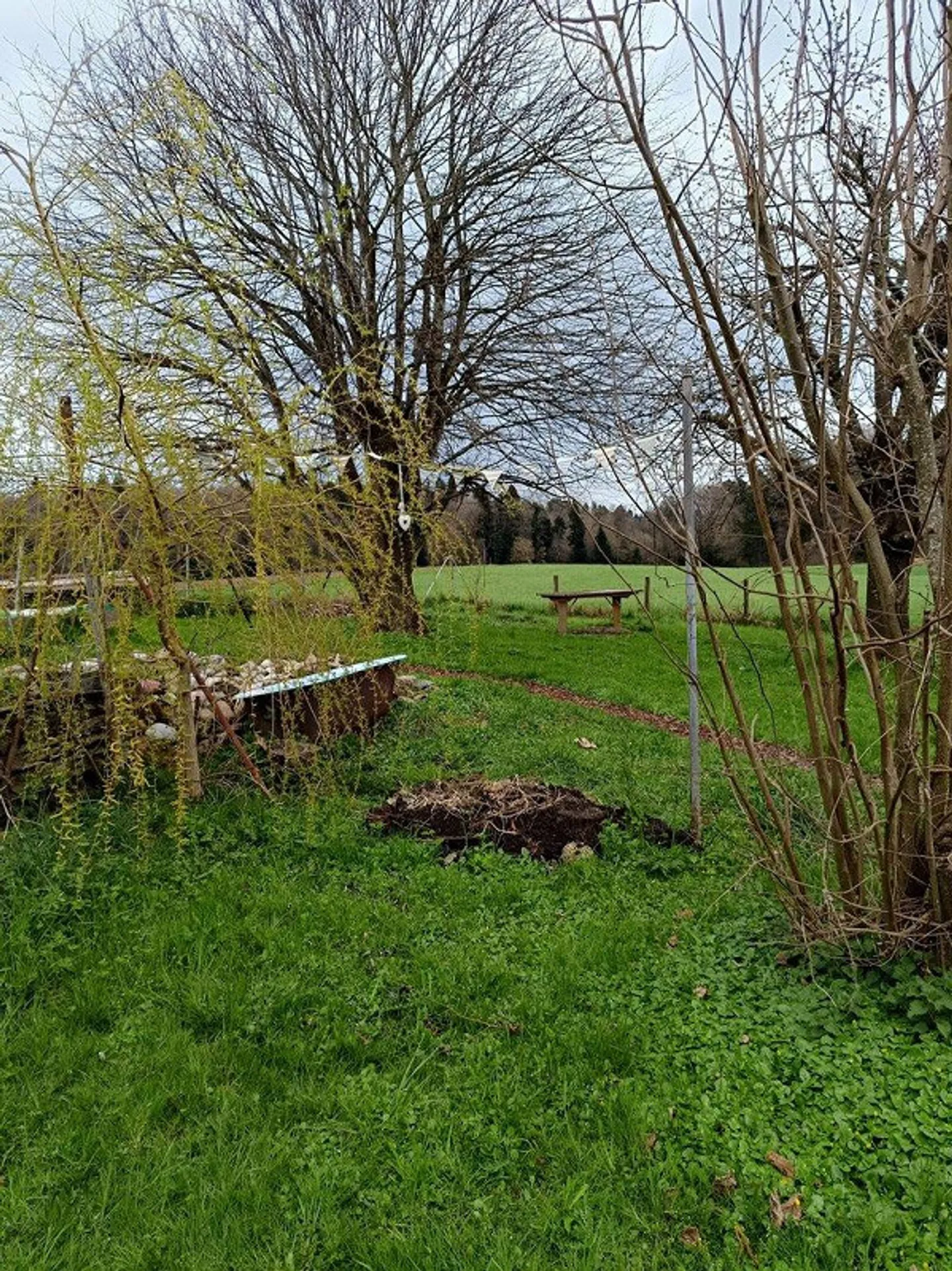 Charmante Wohnung in Bützberg - Foto 18 von 20