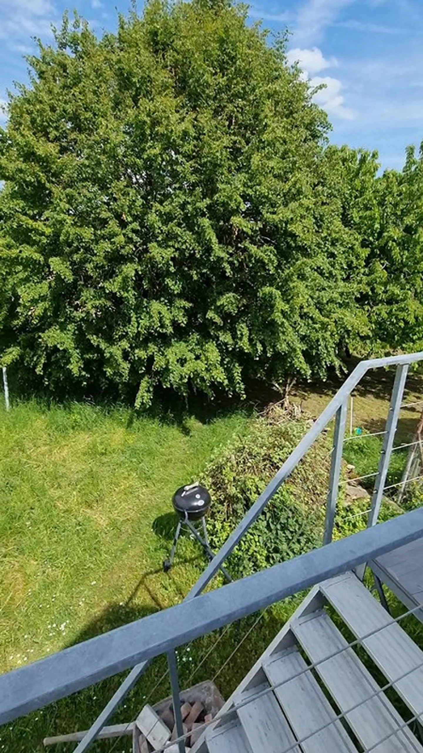 Charmante Wohnung in Bützberg - Foto 17 von 20