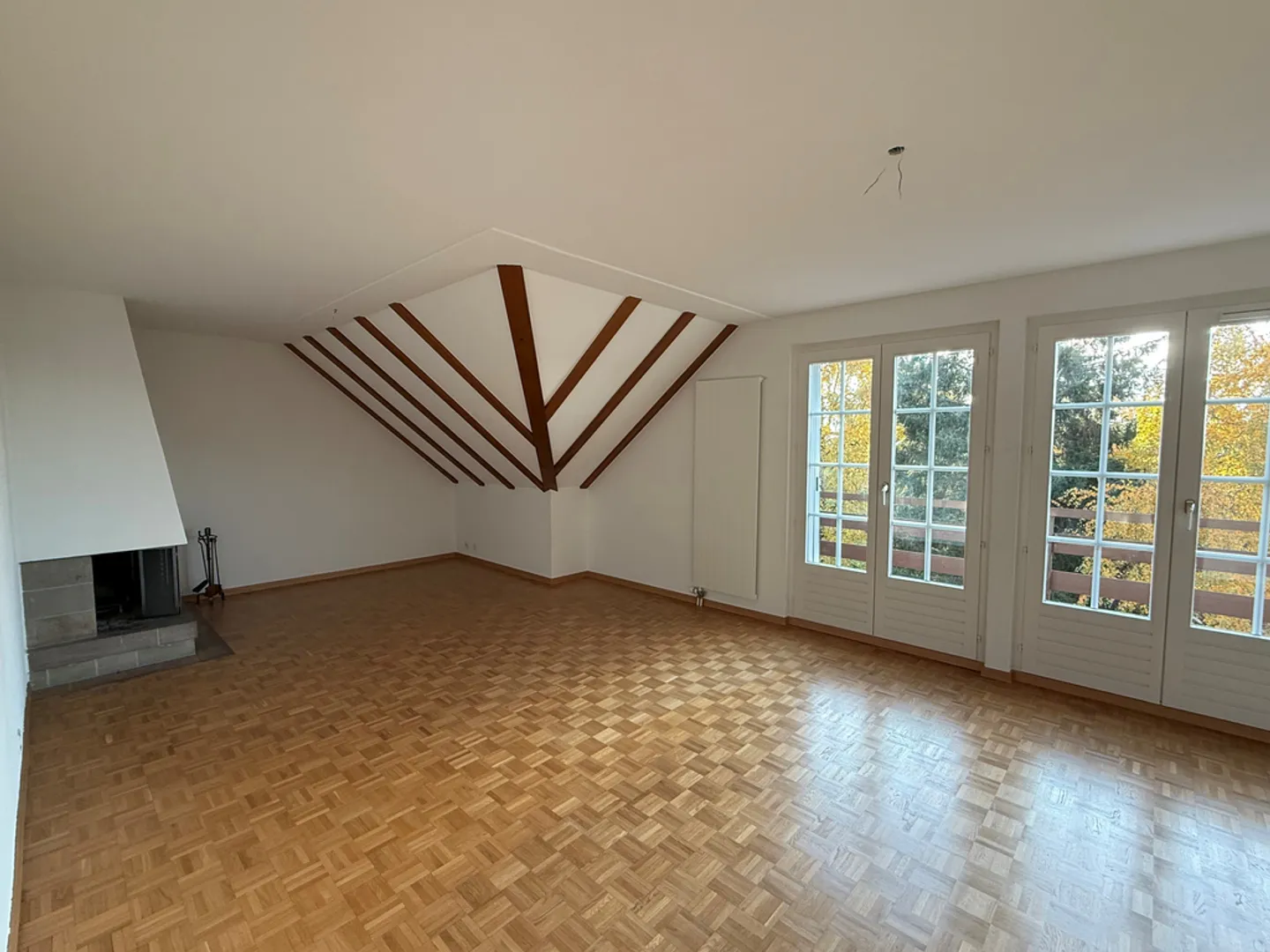 4.5 Room Apartment - Photo 3 of 10