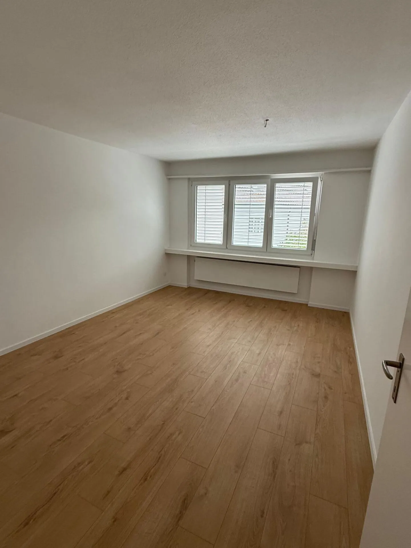 A great 3-room apartment in Niedergösgen - Photo 4 of 11