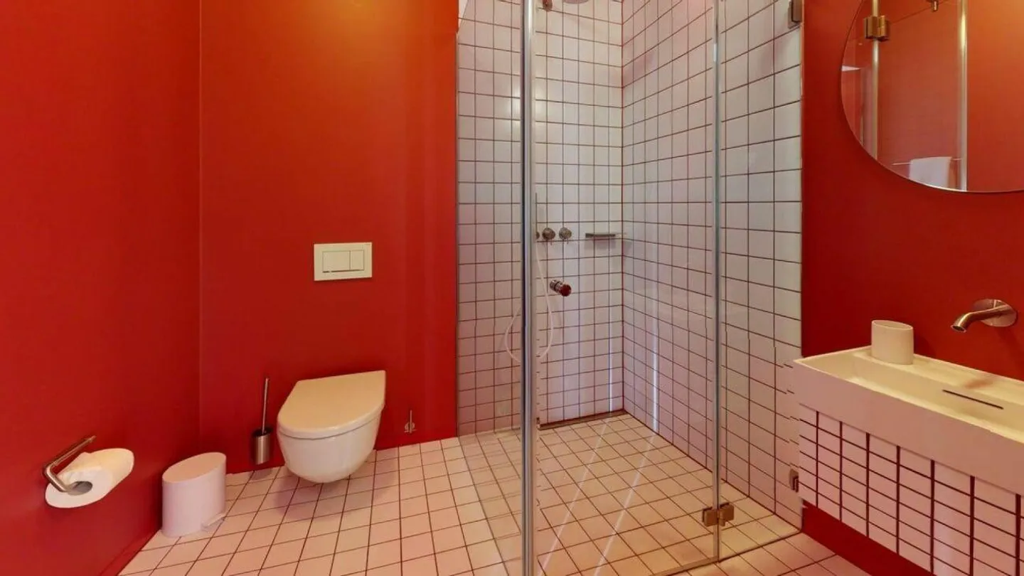 Vivere direttamente sul Reno (Valle di St. Alban) - Foto 5 di 10