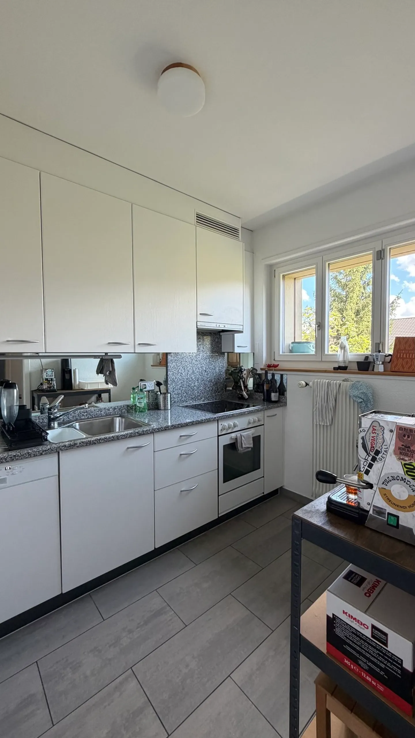 3½ ROOM APARTMENT IN BERN - OUTSIDE THE CITY, FURNISHED, TEMPORARY - Photo 3 of 8