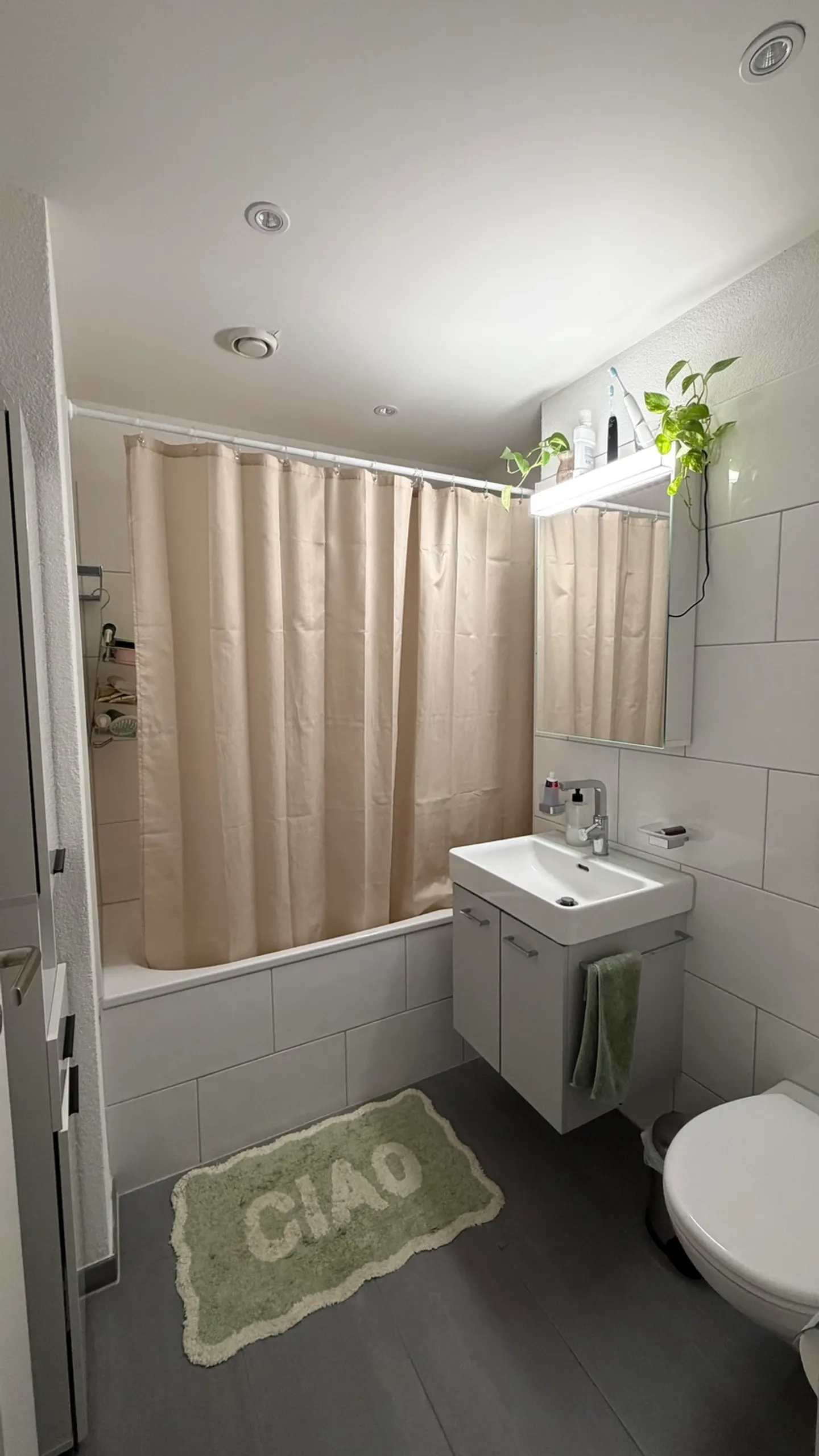 3½ ROOM APARTMENT IN BERN - OUTSIDE THE CITY, FURNISHED, TEMPORARY - Photo 6 of 8