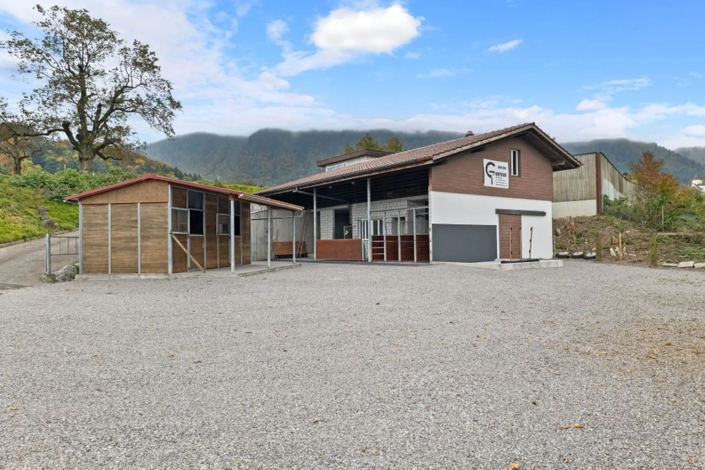 Paradiso dei cavalli nel Simmental - Oberland bernese - Foto 1 di 21