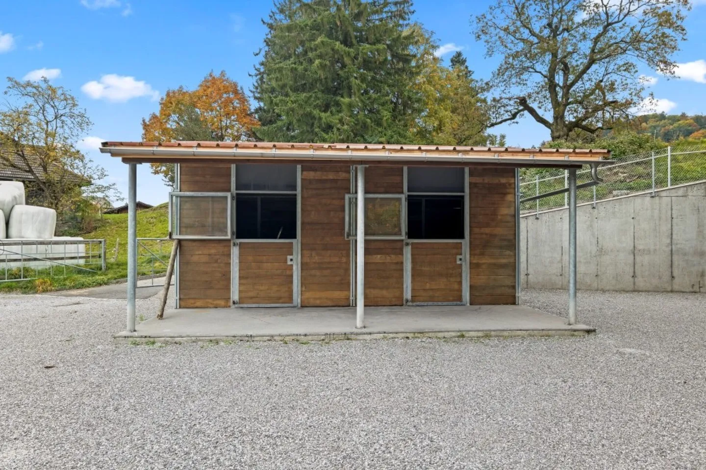 Paradiso dei cavalli nel Simmental - Oberland bernese - Foto 11 di 21