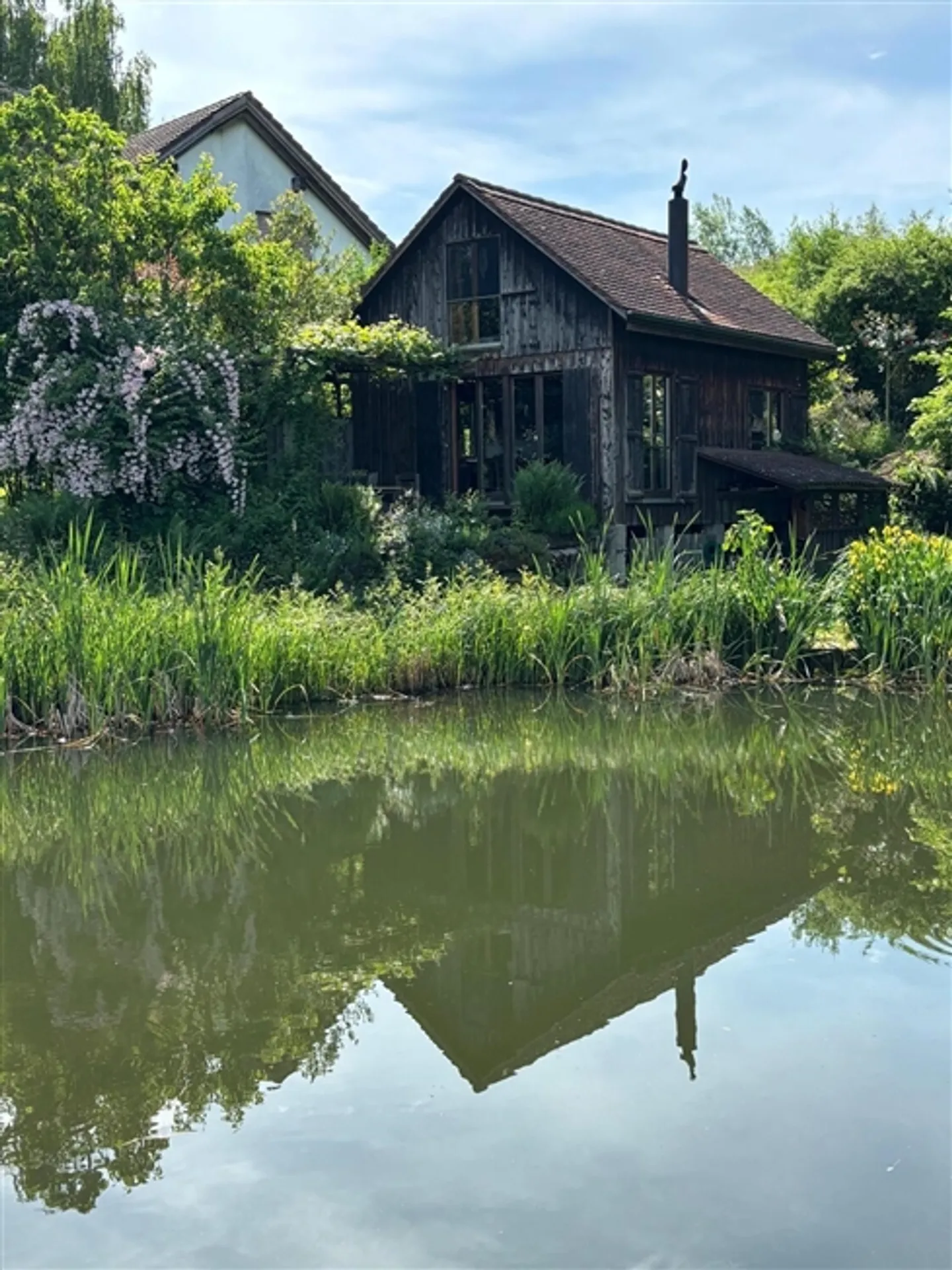 FOR CAT LOVERS IN ELSAU (ZH), FURNISHED, TEMPORARY - Photo 7 of 10