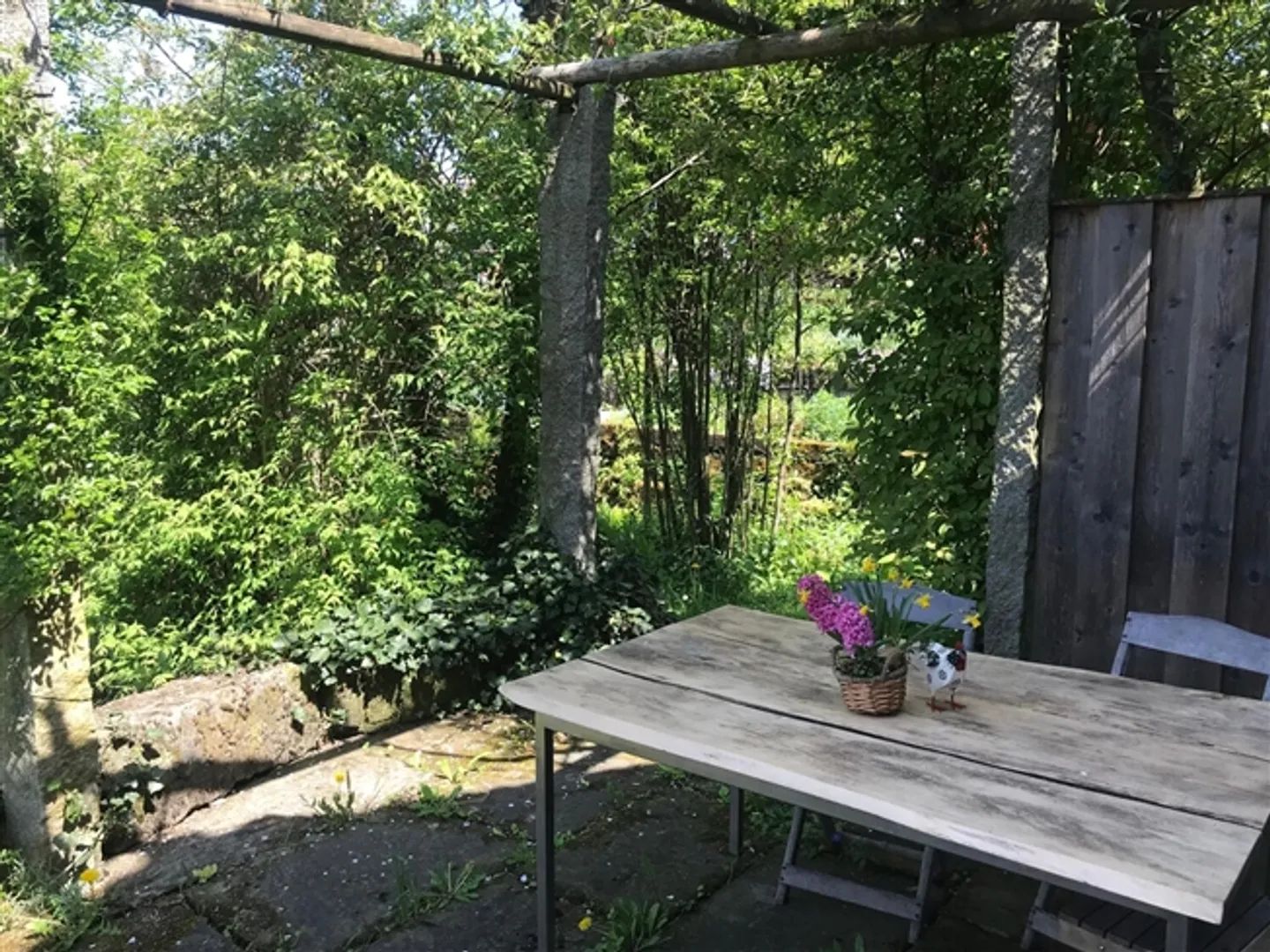 FOR CAT LOVERS IN ELSAU (ZH), FURNISHED, TEMPORARY - Photo 9 of 10