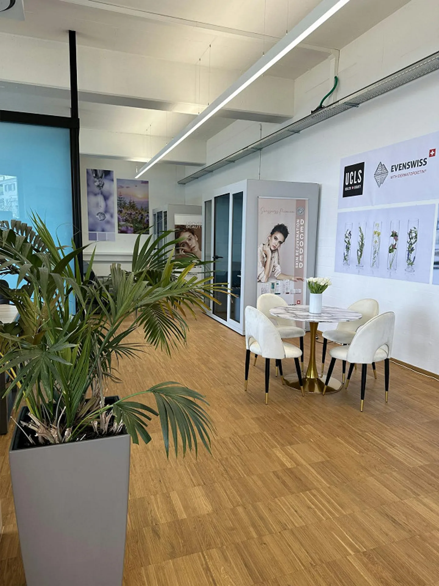 Charmante Büroräumlichkeit - Foto 3 von 13