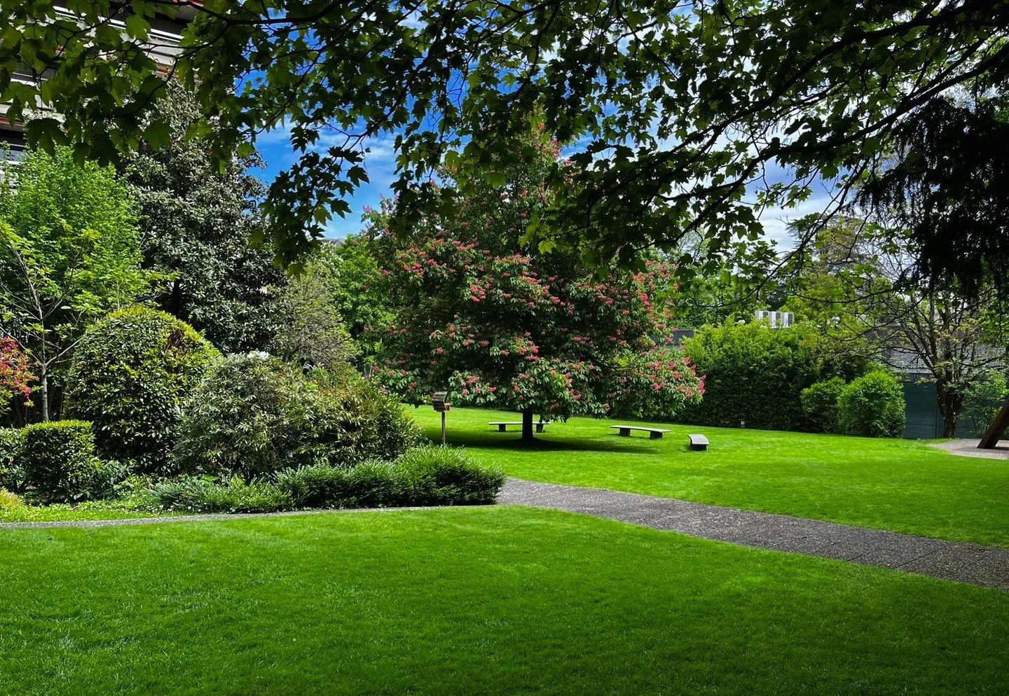 Geräumige Wohnung mit Bergblick - Foto 3 von 4