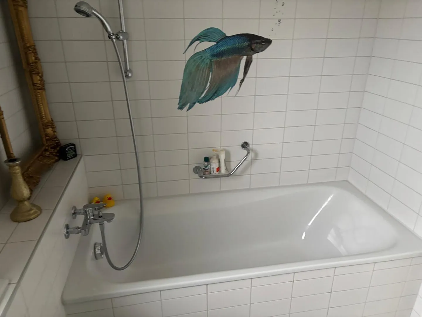 Apartment for rent - Photo 9 of 10