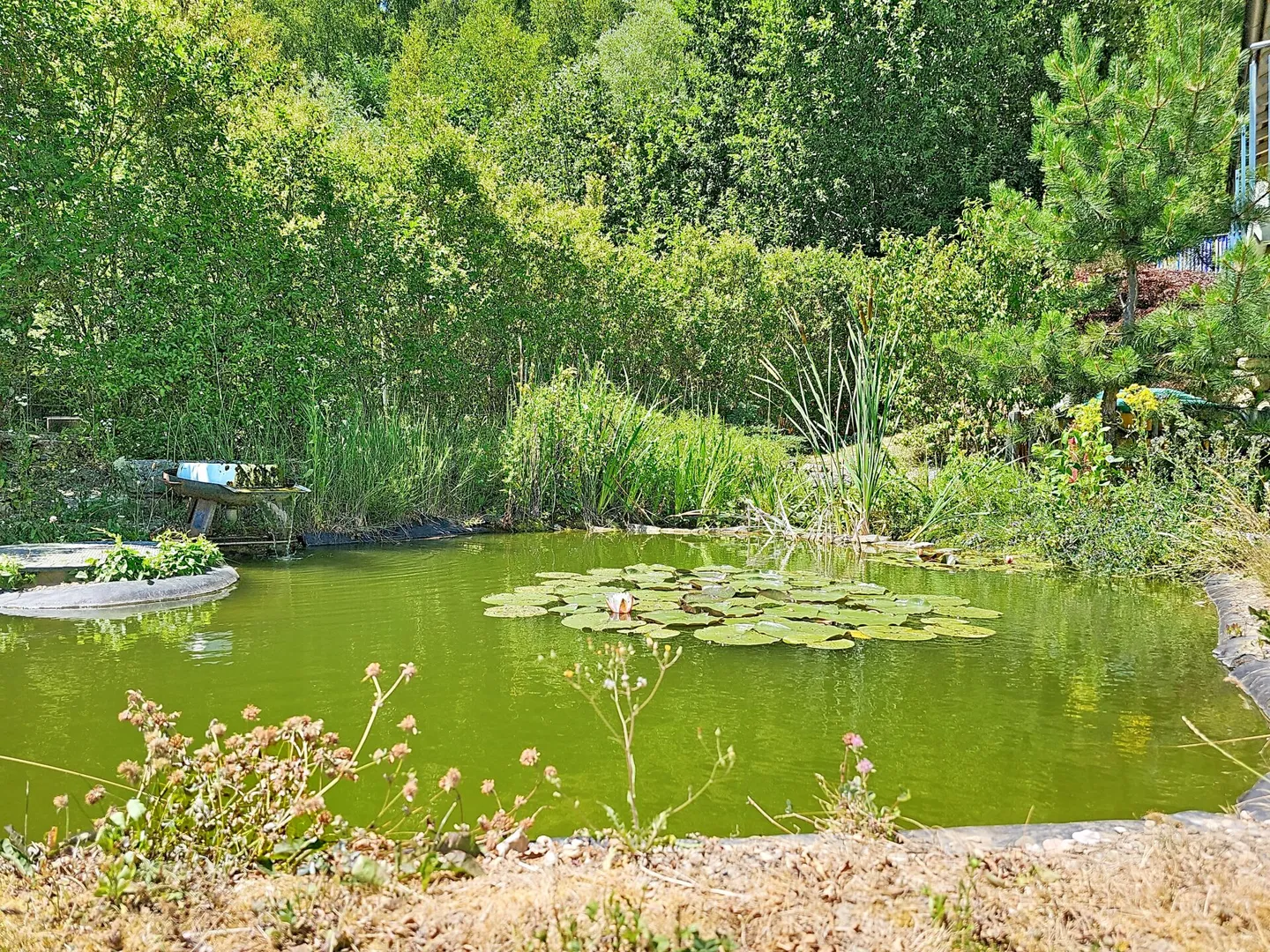 Privileged Location with Unobstructed Panoramic View - Photo 11 of 16