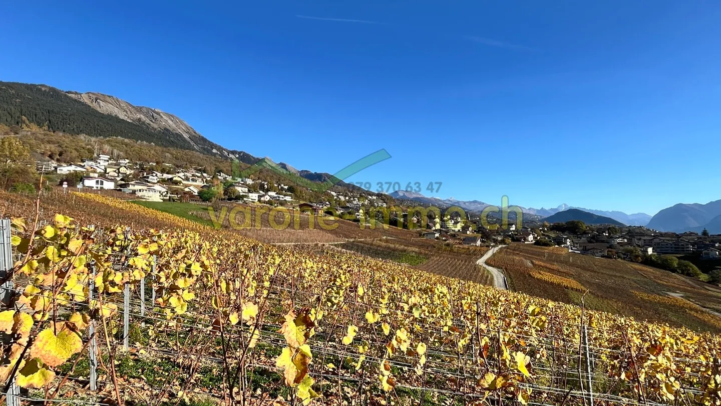 Neue Promotion in Savièse - Foto 1 von 2