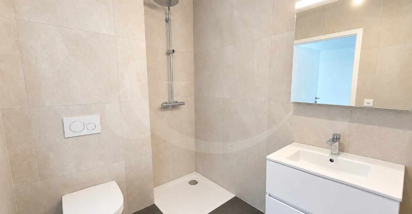 Esclusività? Appartamento di 4 stanze con 64 m² di terrazze? Nations - Servette - Foto 5 di 7