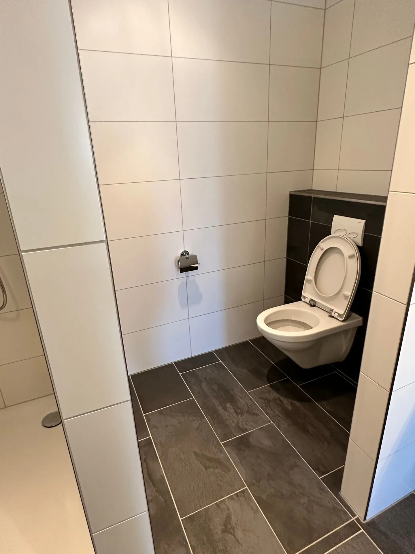 Ampio appartamento attico di 4,5 locali con grande balcone a Maisprach (BL) - Foto 8 di 18