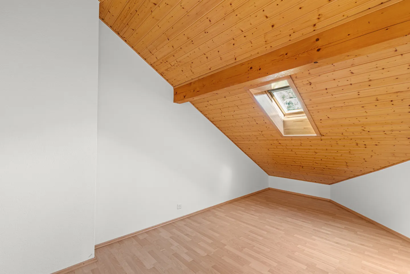 Duplex Attic Apartment in Blonay - Photo 13 of 18