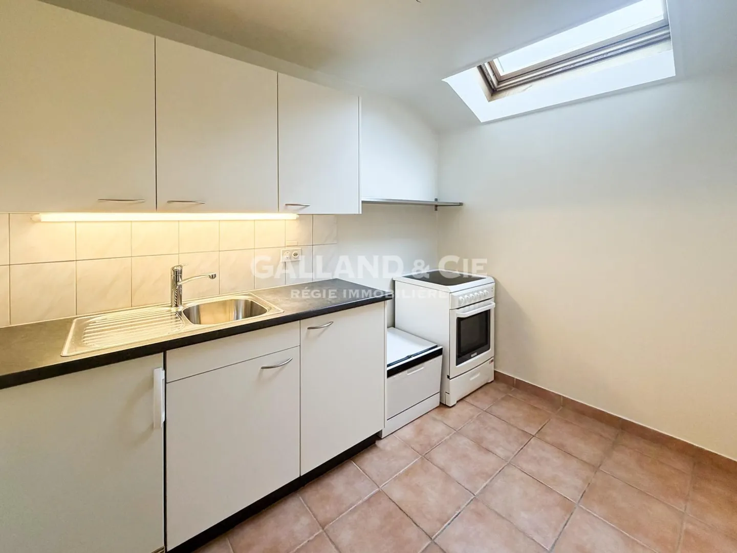 Magnifico loft nel centro di Pully in mansarda - Foto 3 di 7