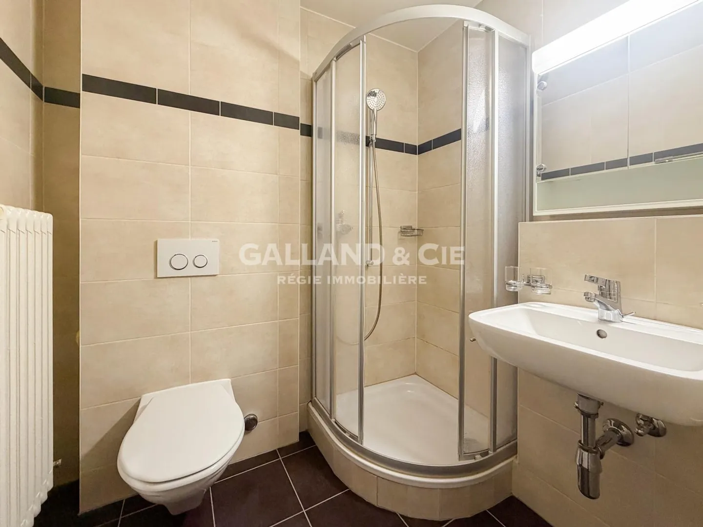 Magnifico loft nel centro di Pully in mansarda - Foto 4 di 7