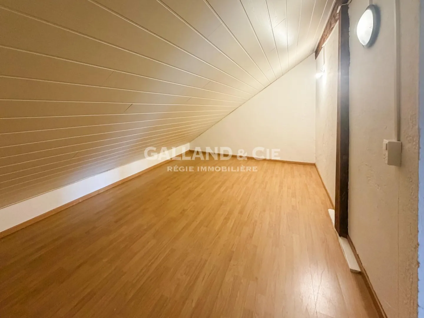 Magnifico loft nel centro di Pully in mansarda - Foto 5 di 7